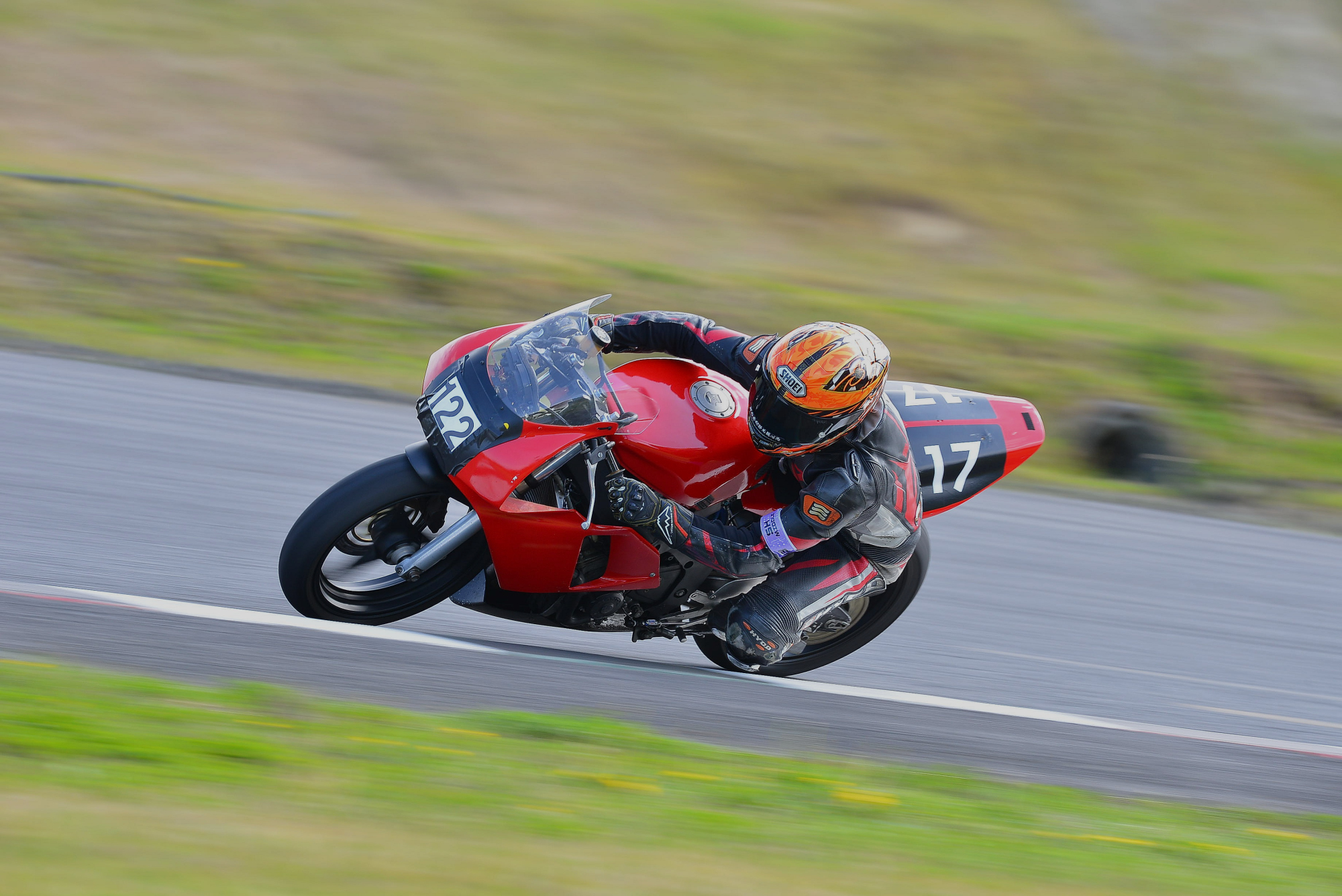 D8J_0271.JPG