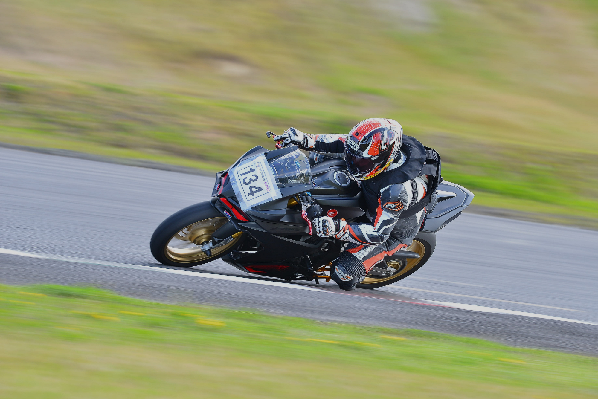 D8J_0287.JPG