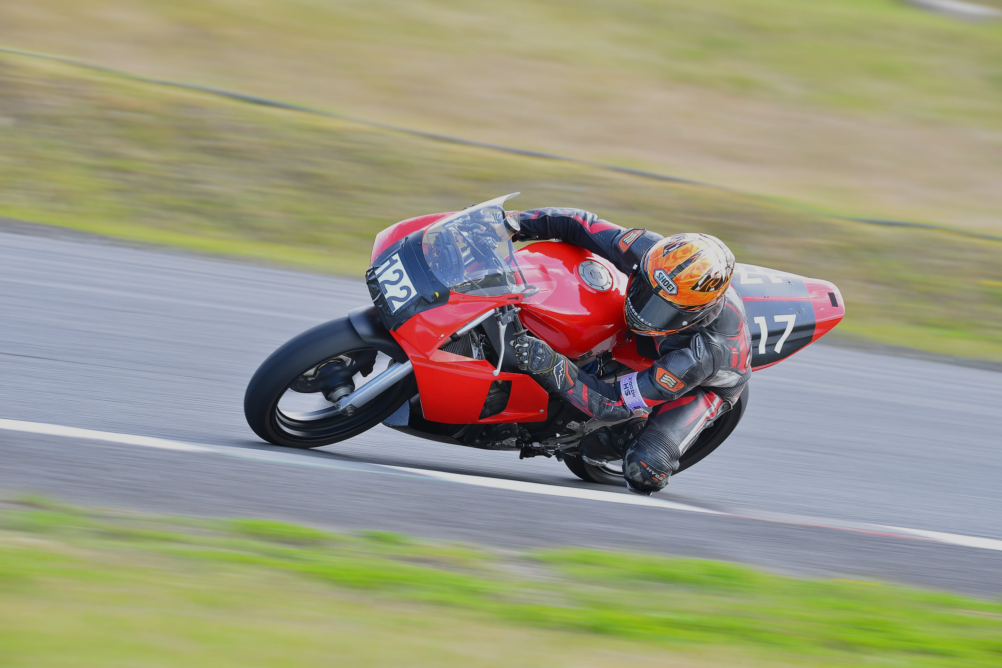 D8J_0289.JPG