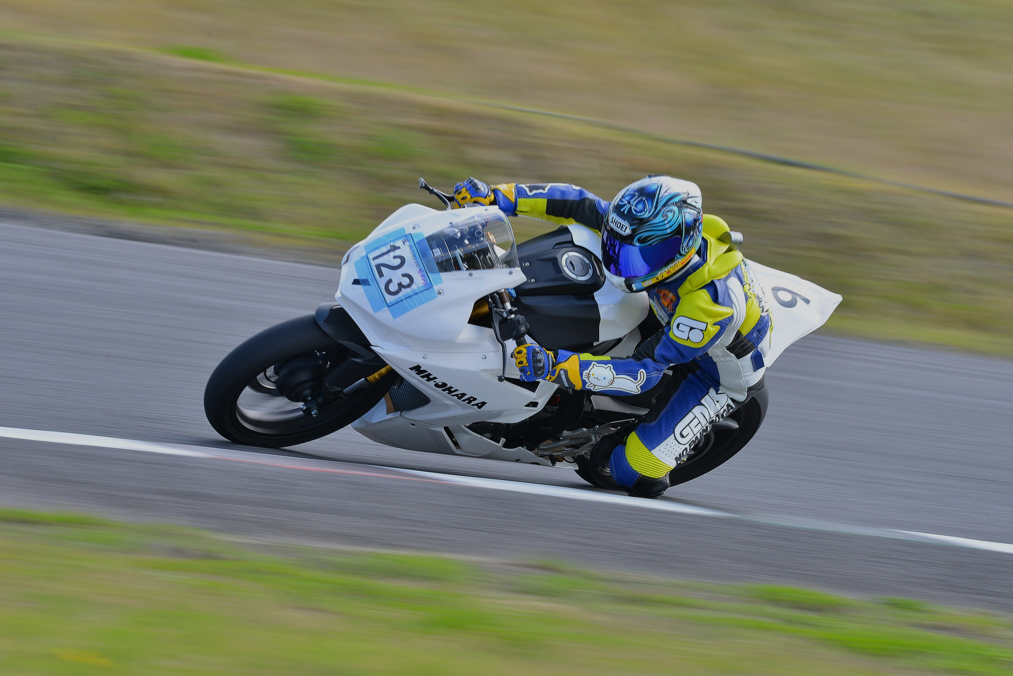 D8J_0292.JPG