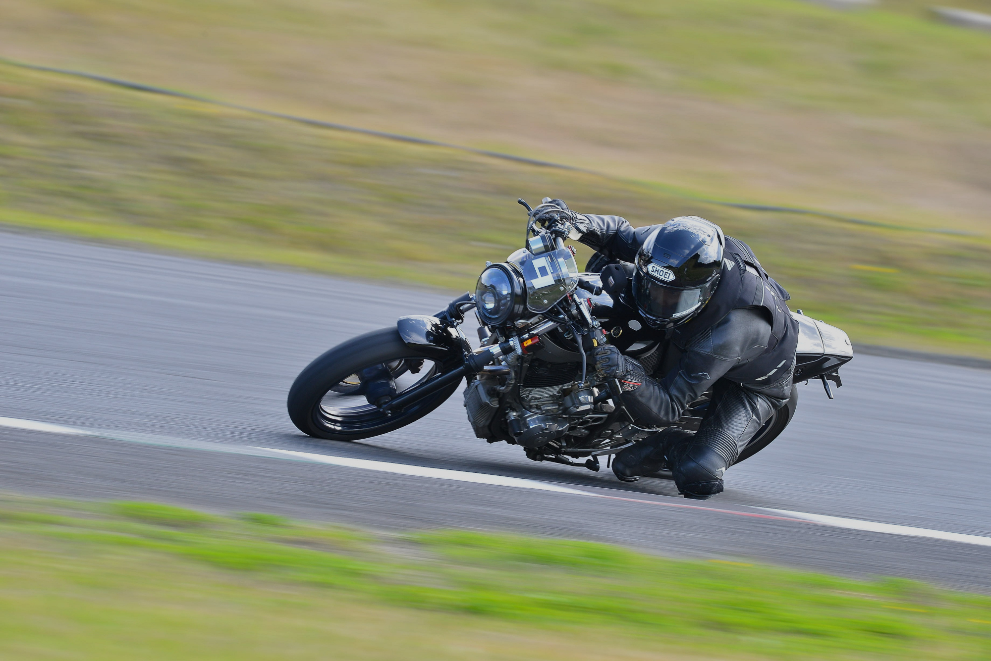 D8J_0293.JPG