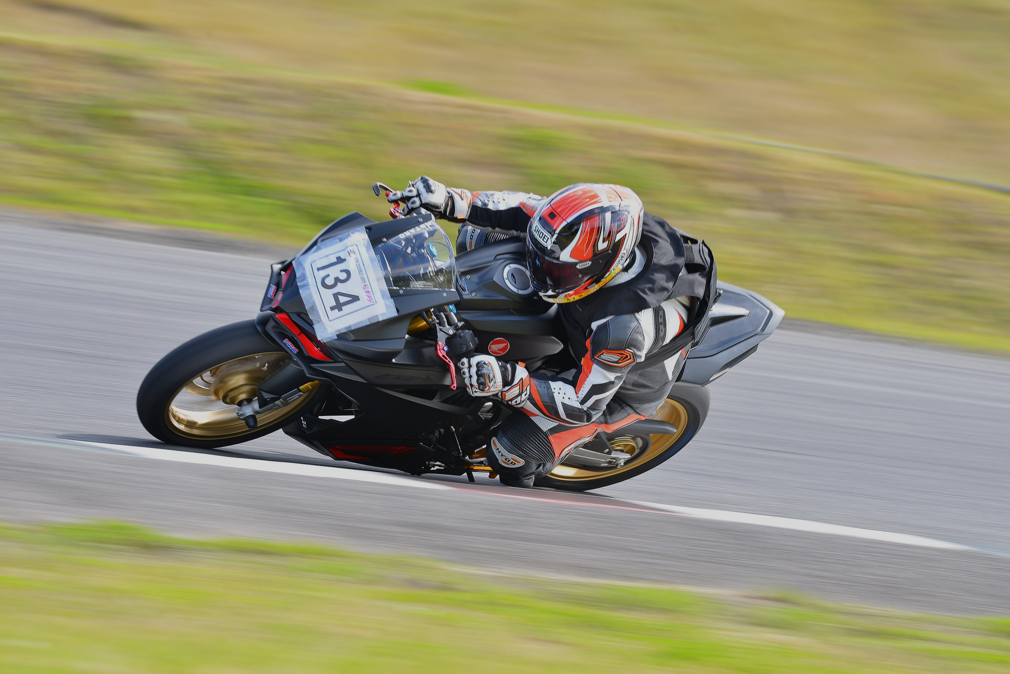 D8J_0304.JPG