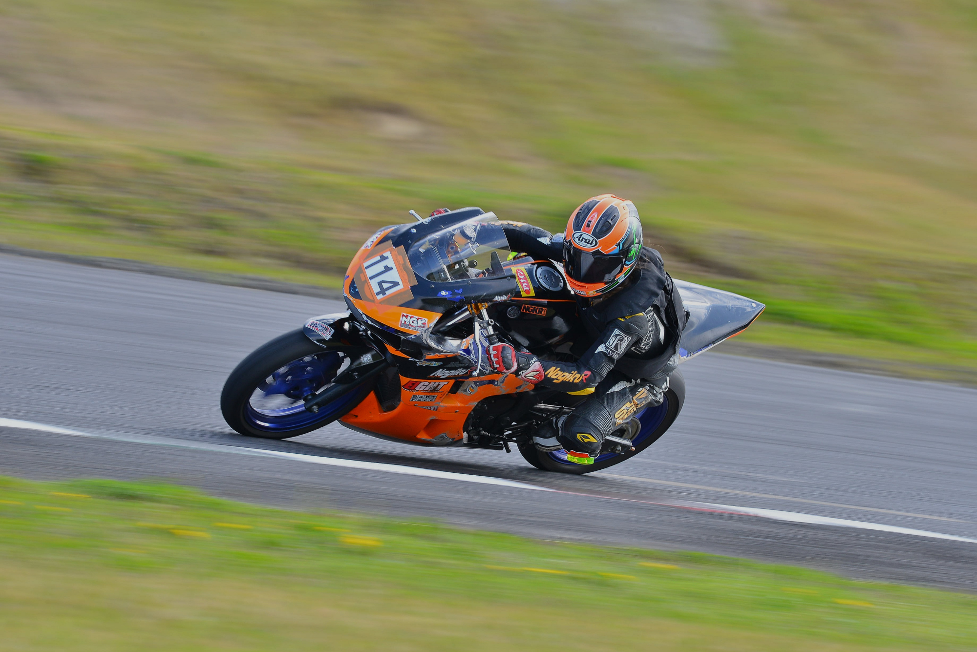 D8J_0339.JPG