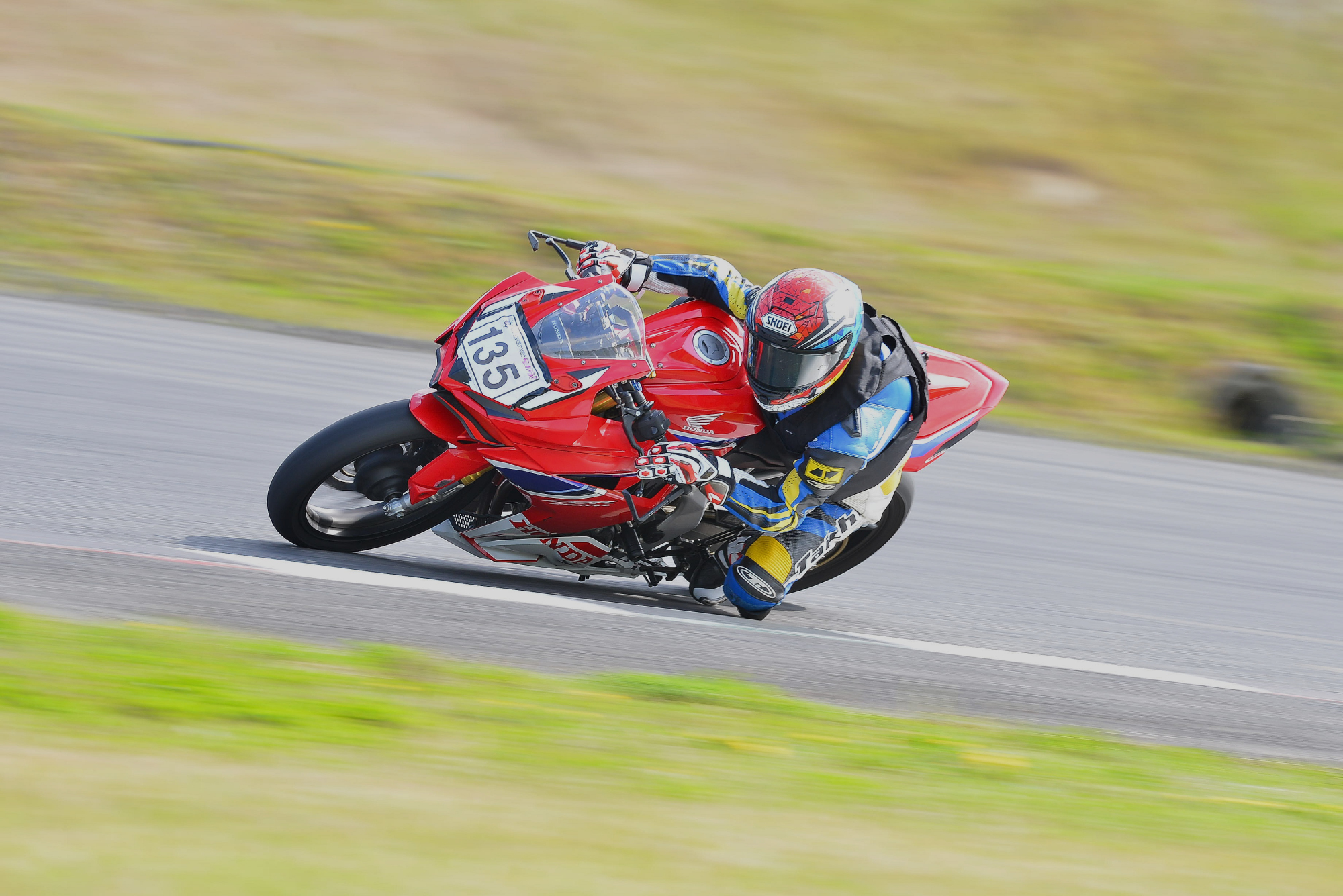 D8J_0355.JPG