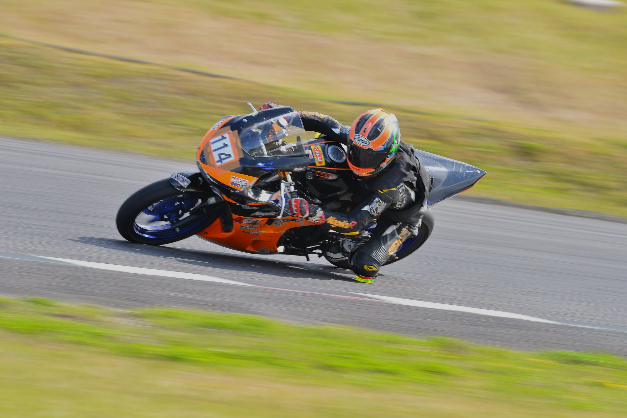 D8J_0366.JPG
