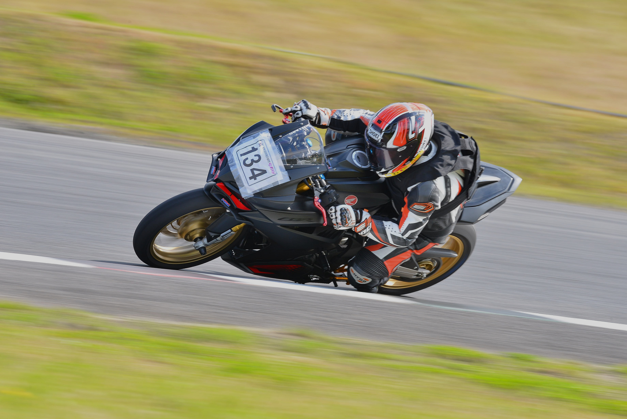 D8J_0367.JPG