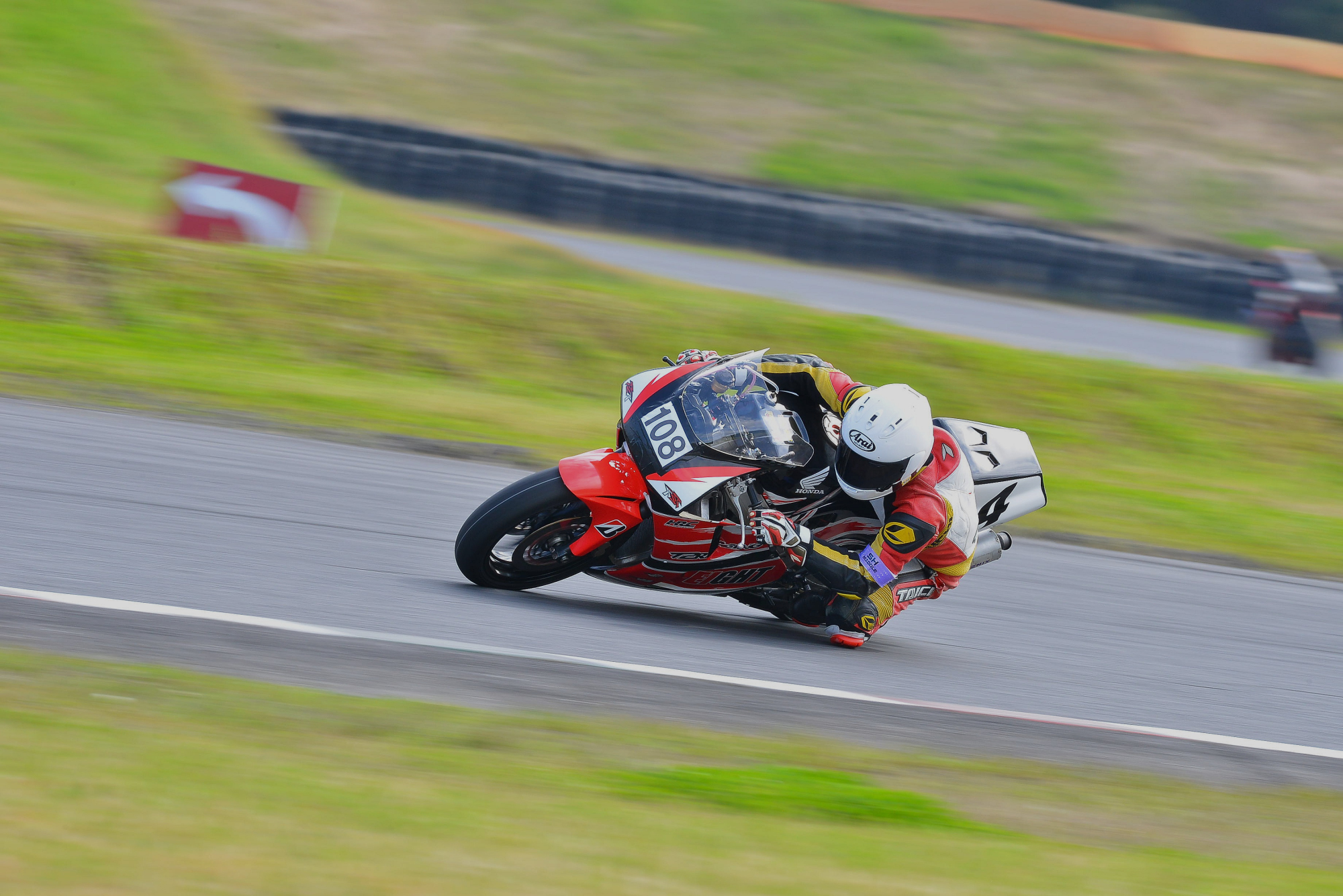 D8J_0387.JPG