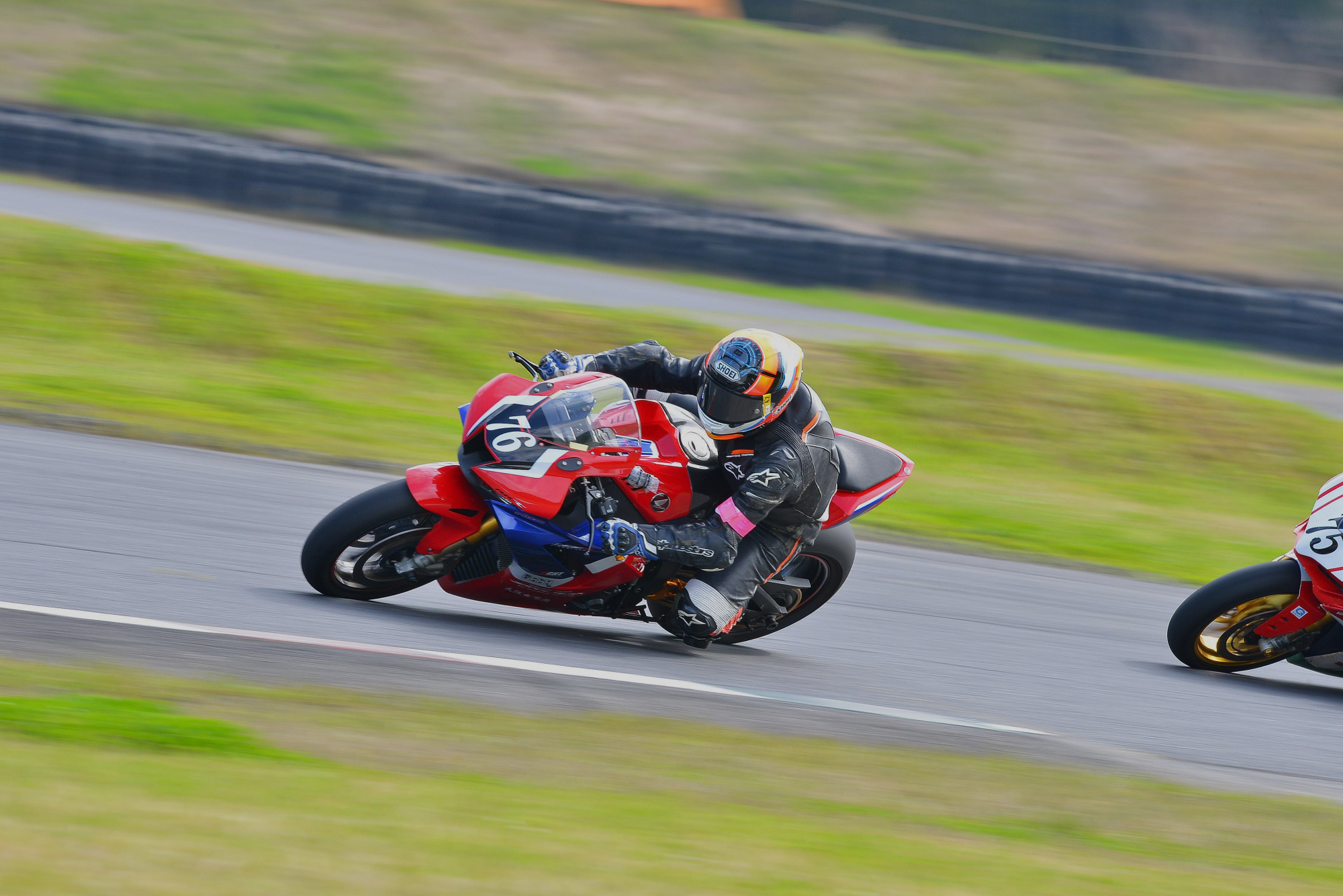 D8J_0391.JPG