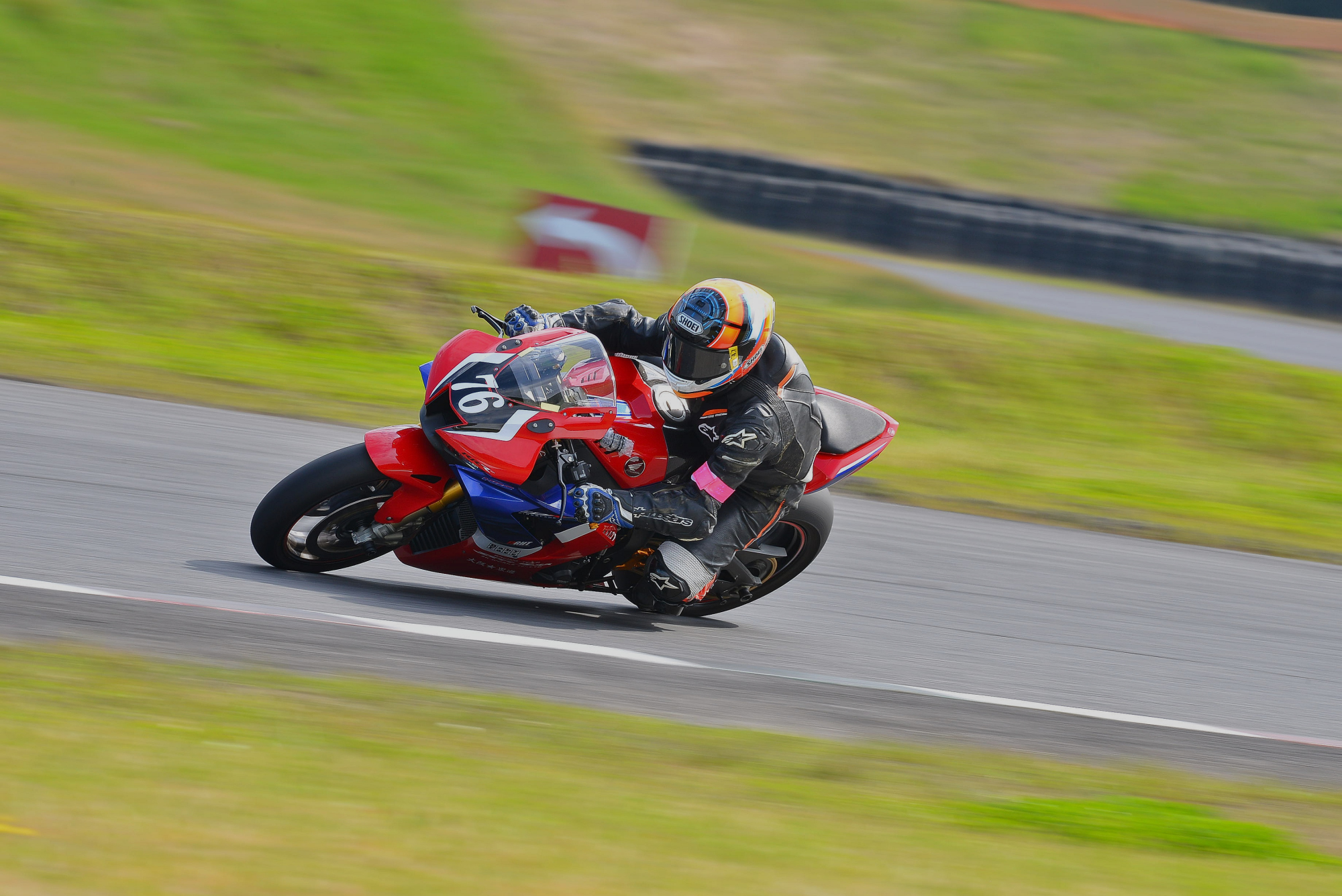 D8J_0399.JPG