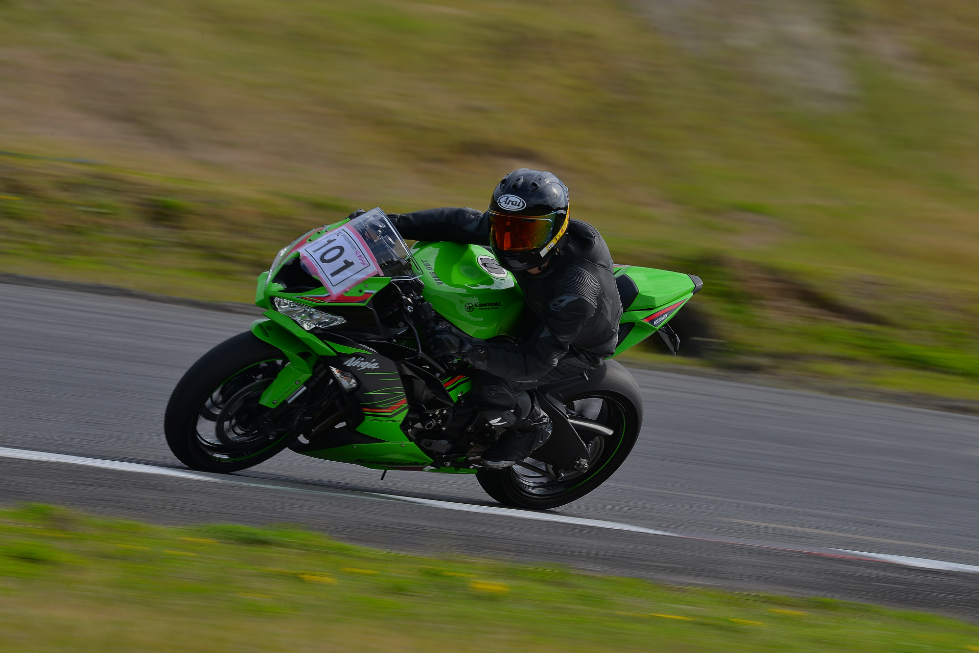 D8J_0437.JPG