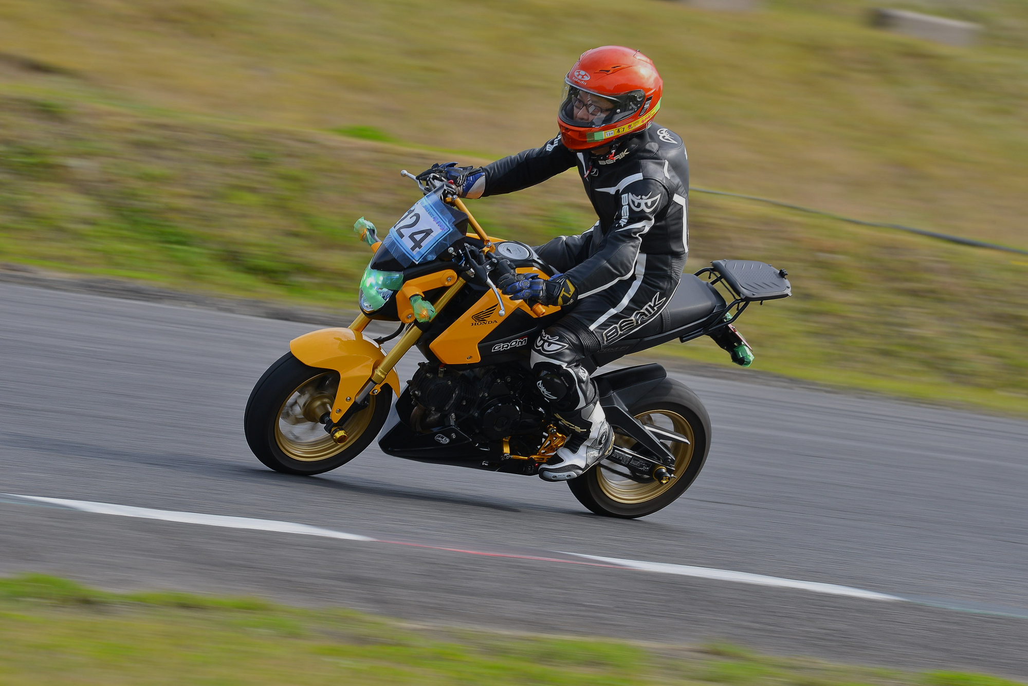 D8J_0441.JPG