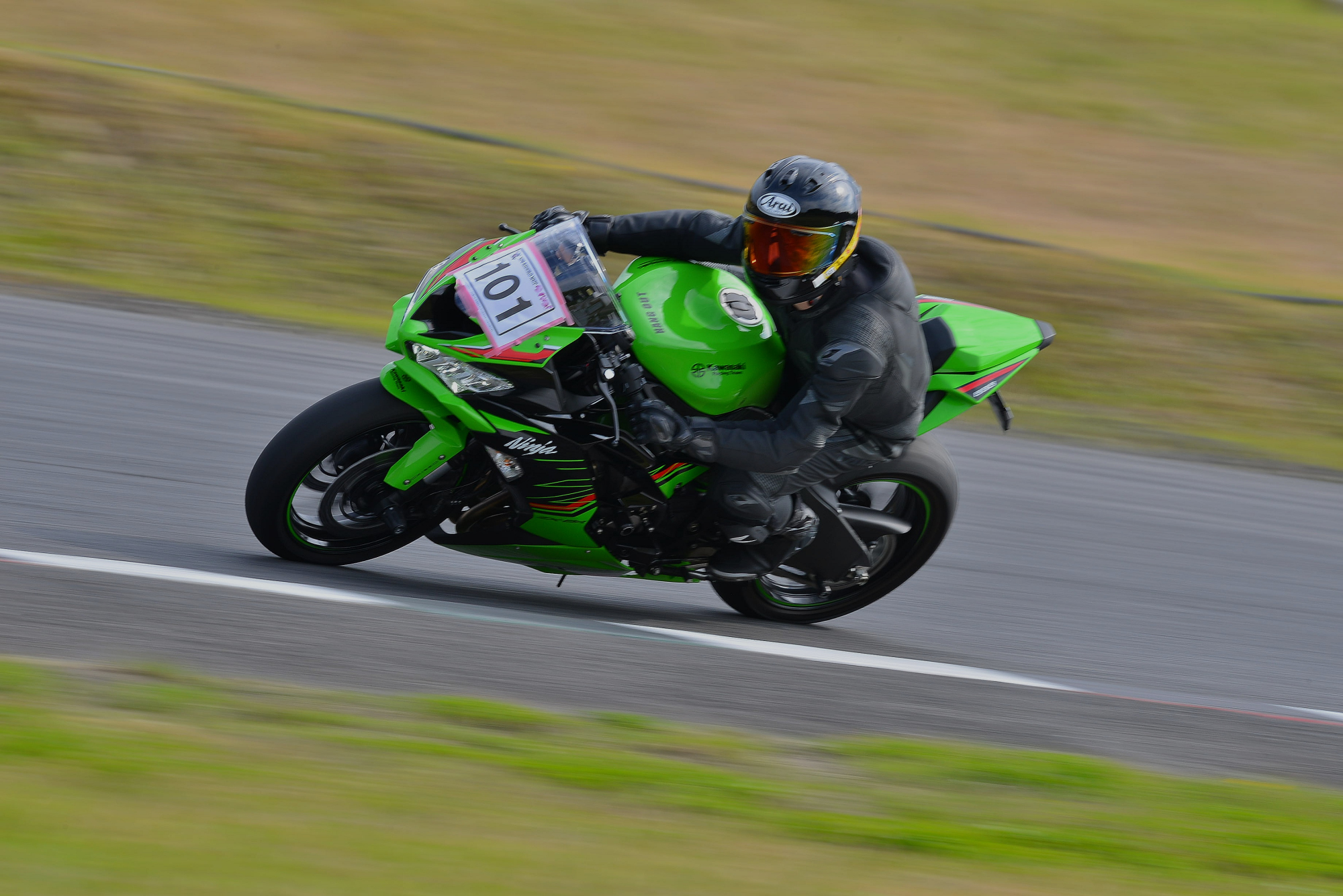 D8J_0444.JPG