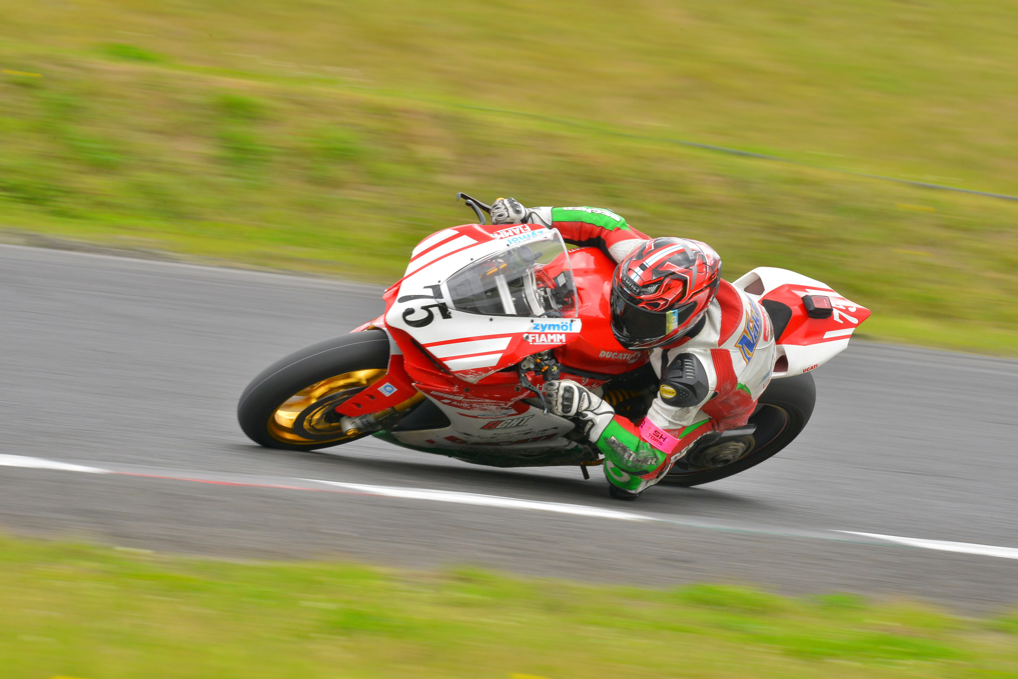 D8J_0028.JPG