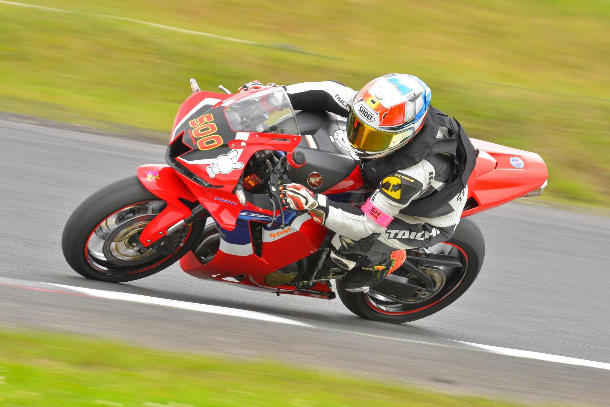 D8J_0029.JPG