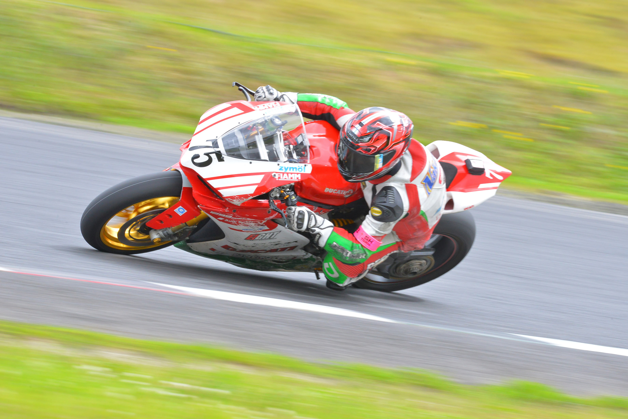 D8J_0033.JPG