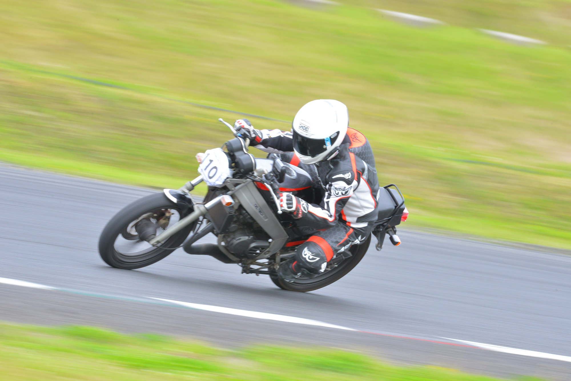 D8J_0065.JPG