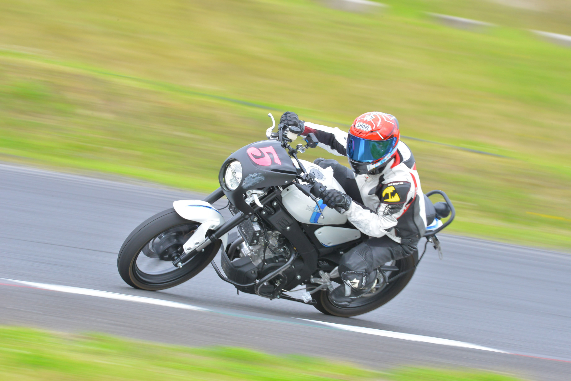 D8J_0069.JPG