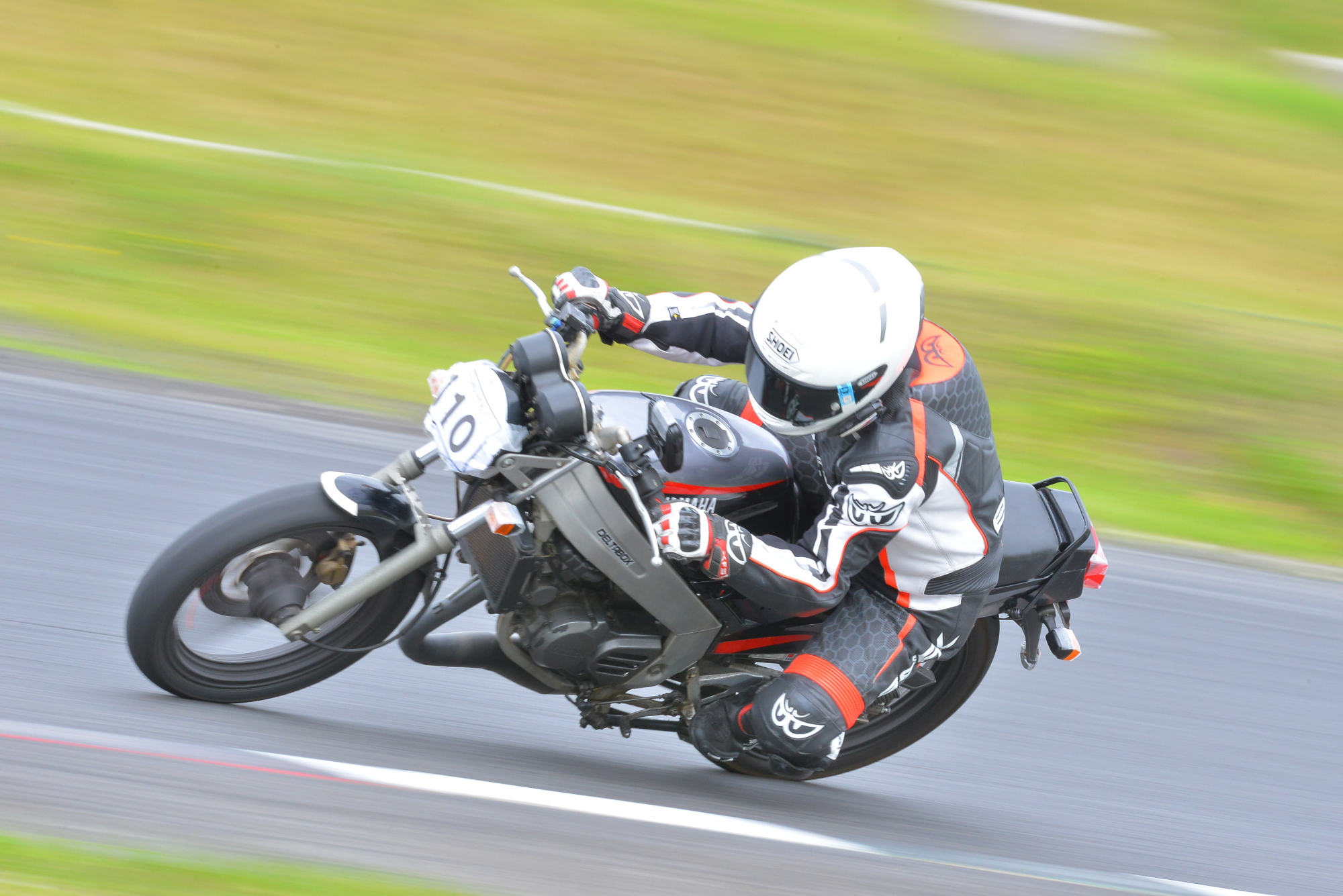 D8J_0077.JPG
