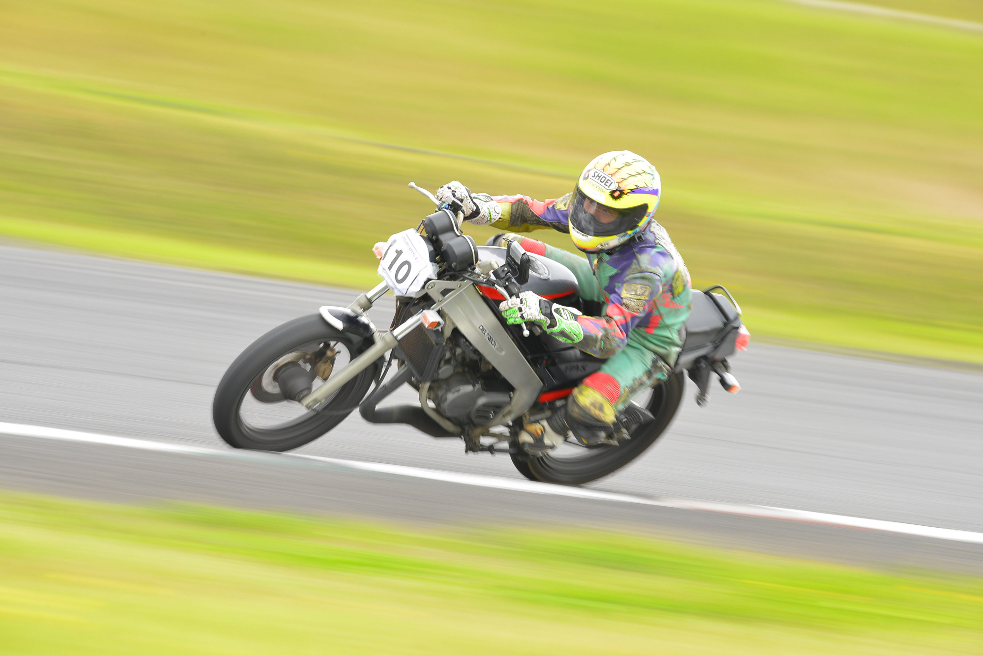 D8J_0205.JPG
