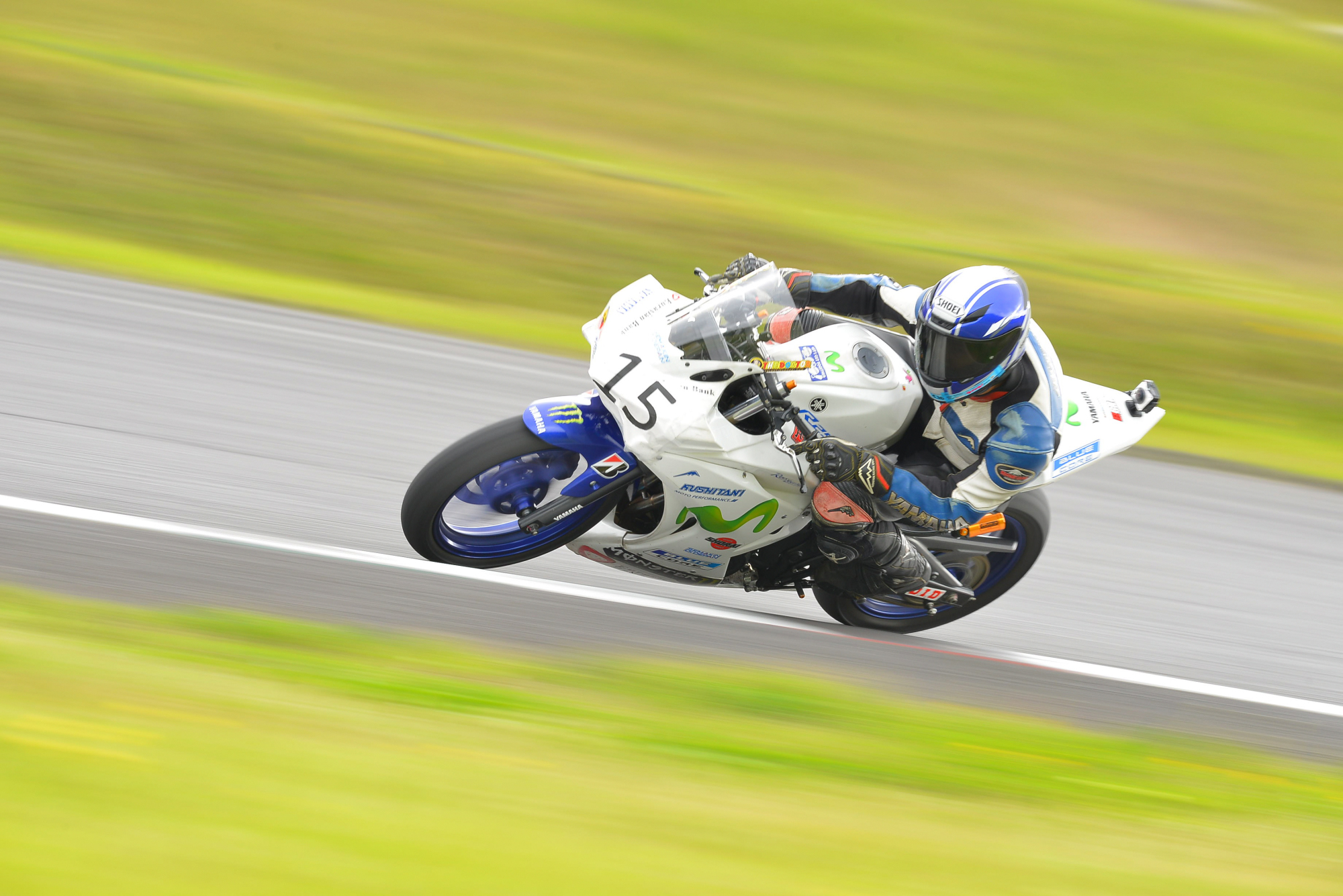 D8J_0223.JPG