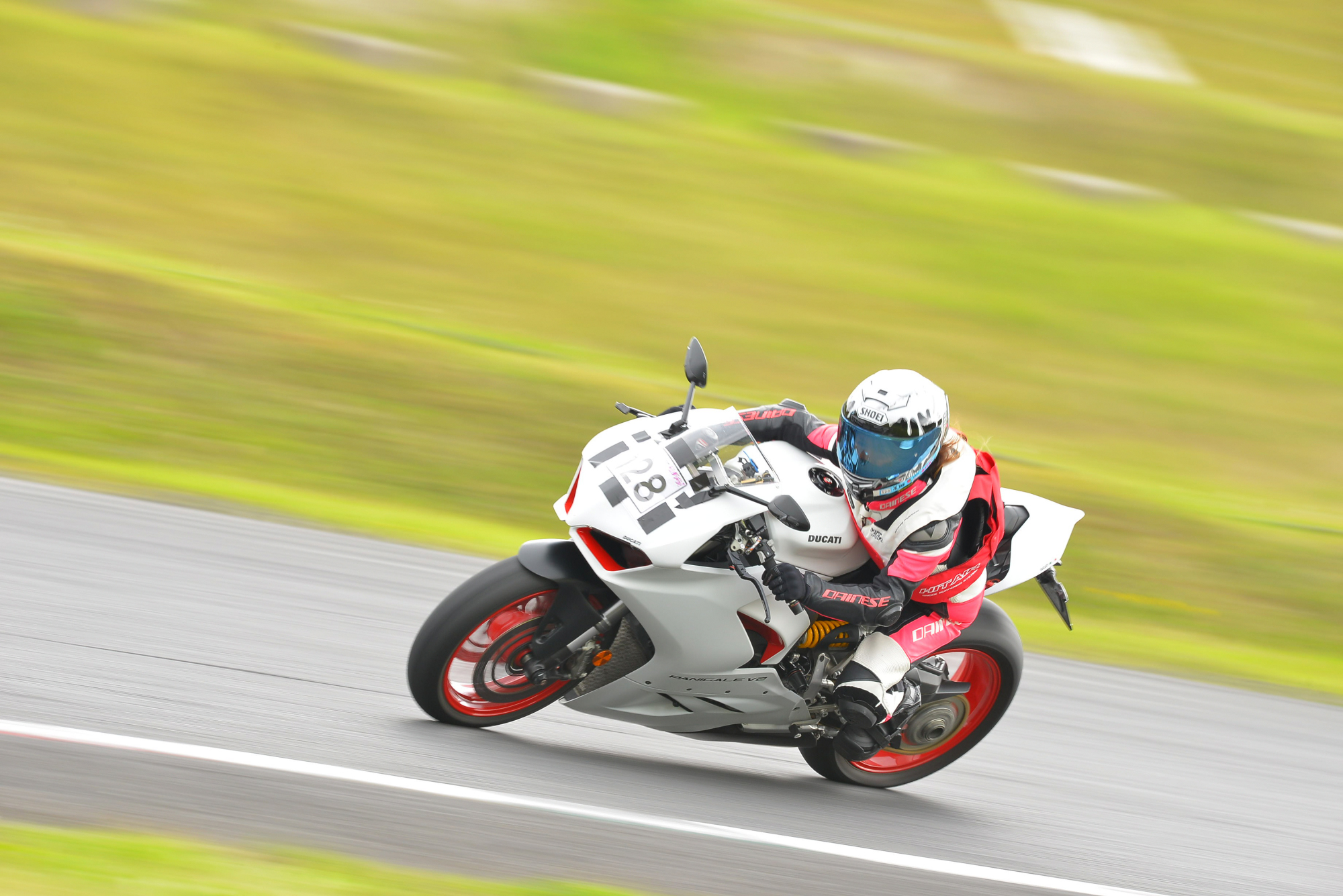 D8J_0224.JPG