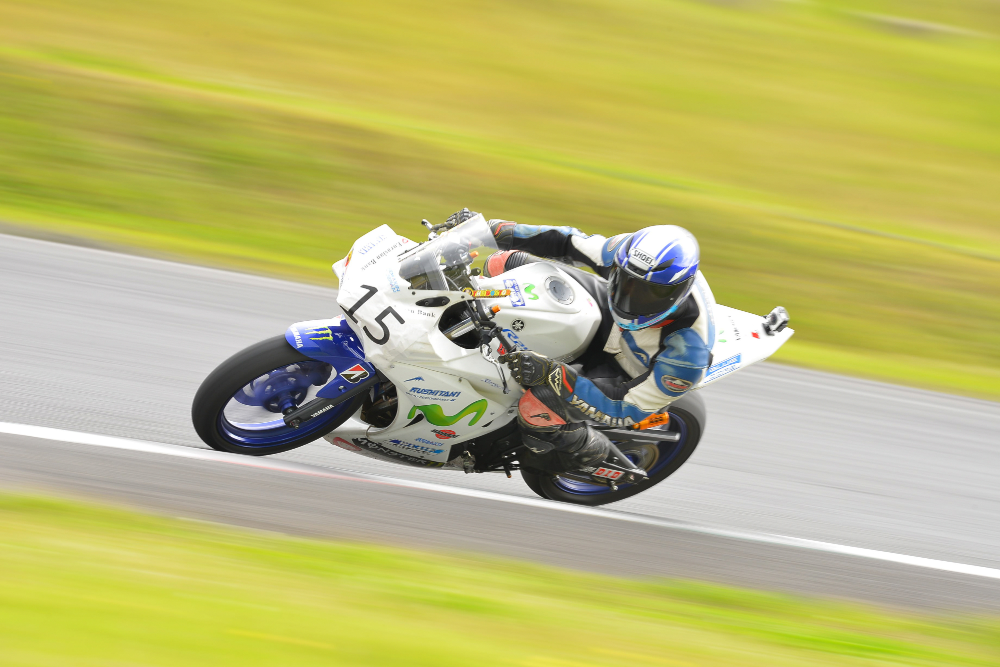 D8J_0246.JPG