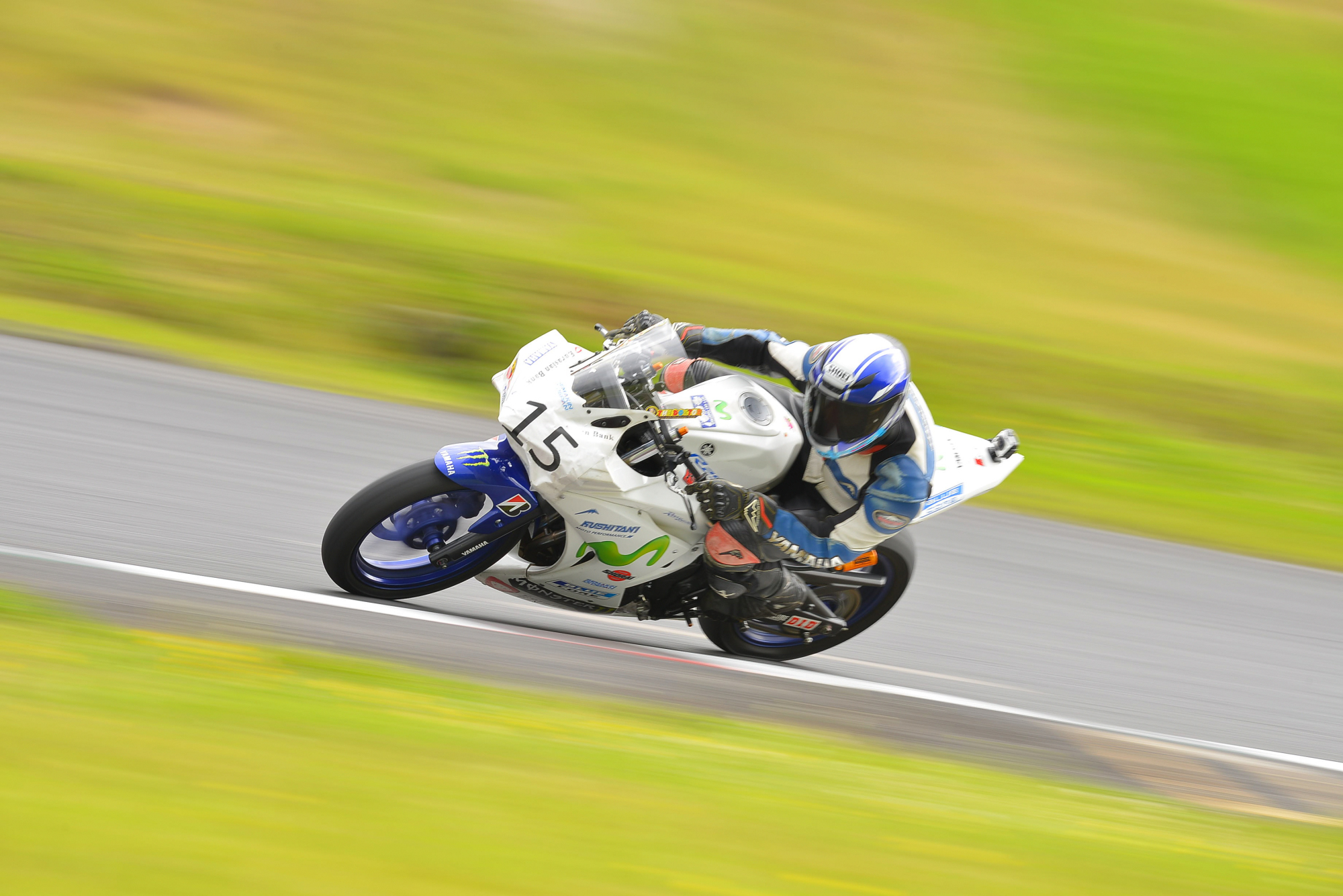 D8J_0260.JPG