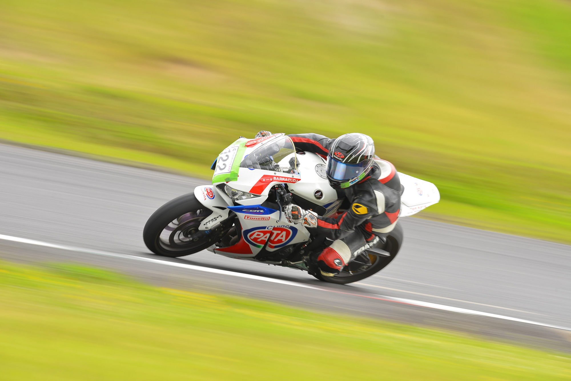 D8J_0261.JPG