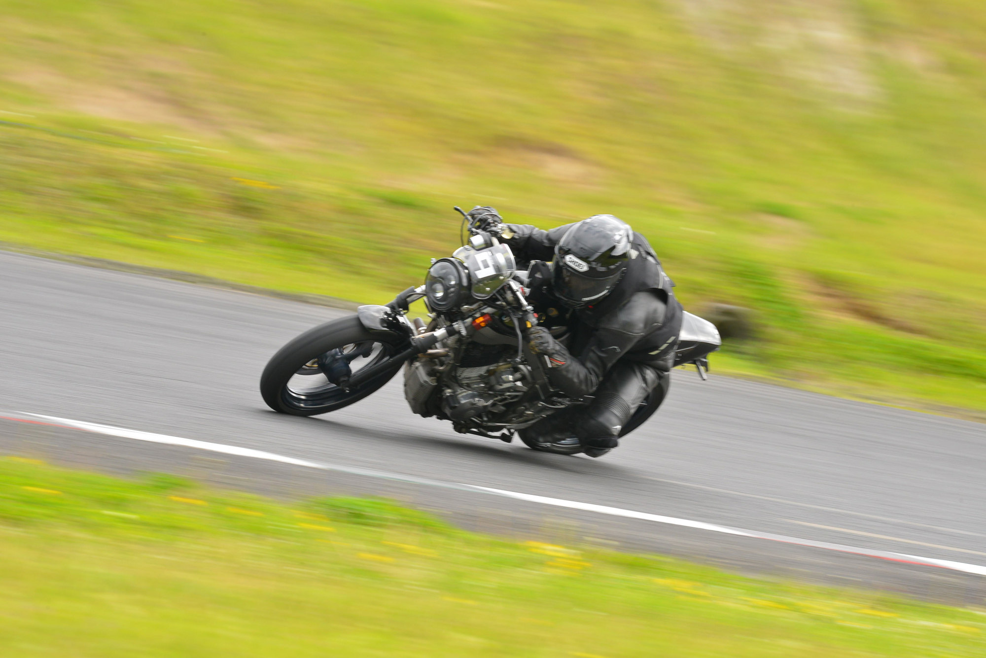 D8J_0267.JPG