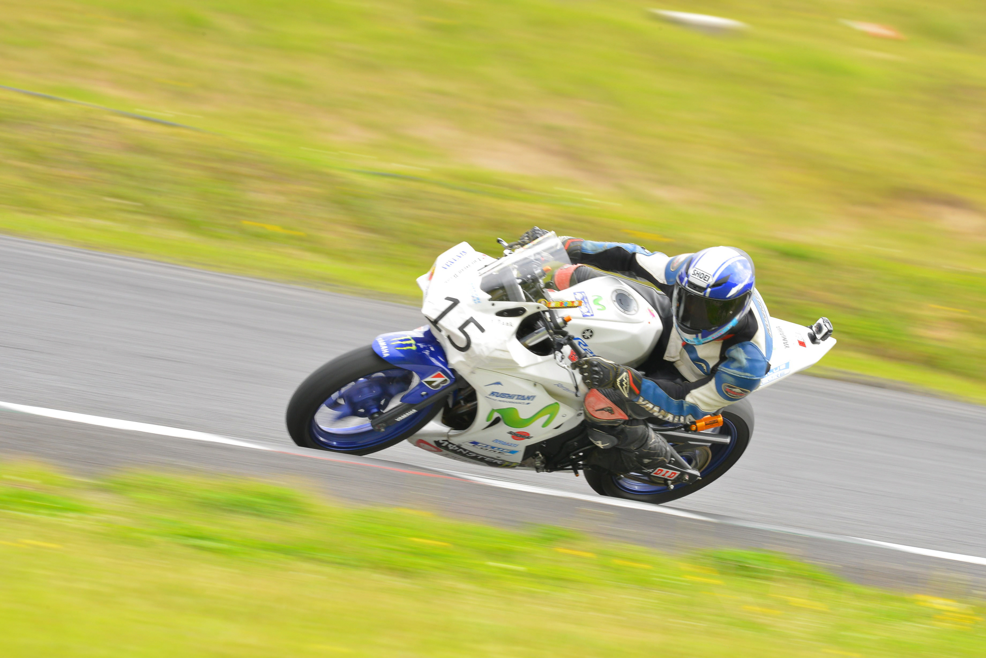 D8J_0271.JPG