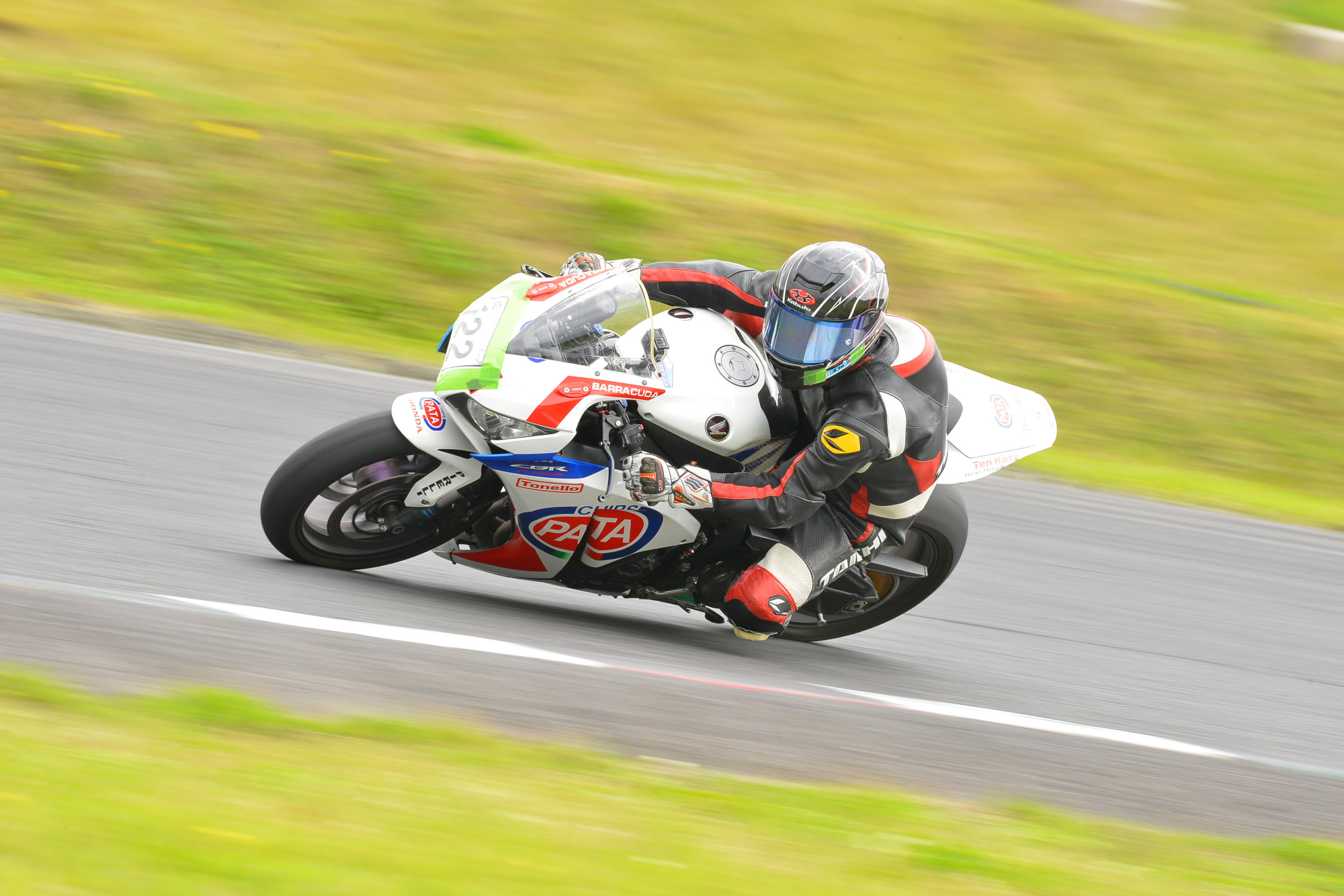 D8J_0272.JPG