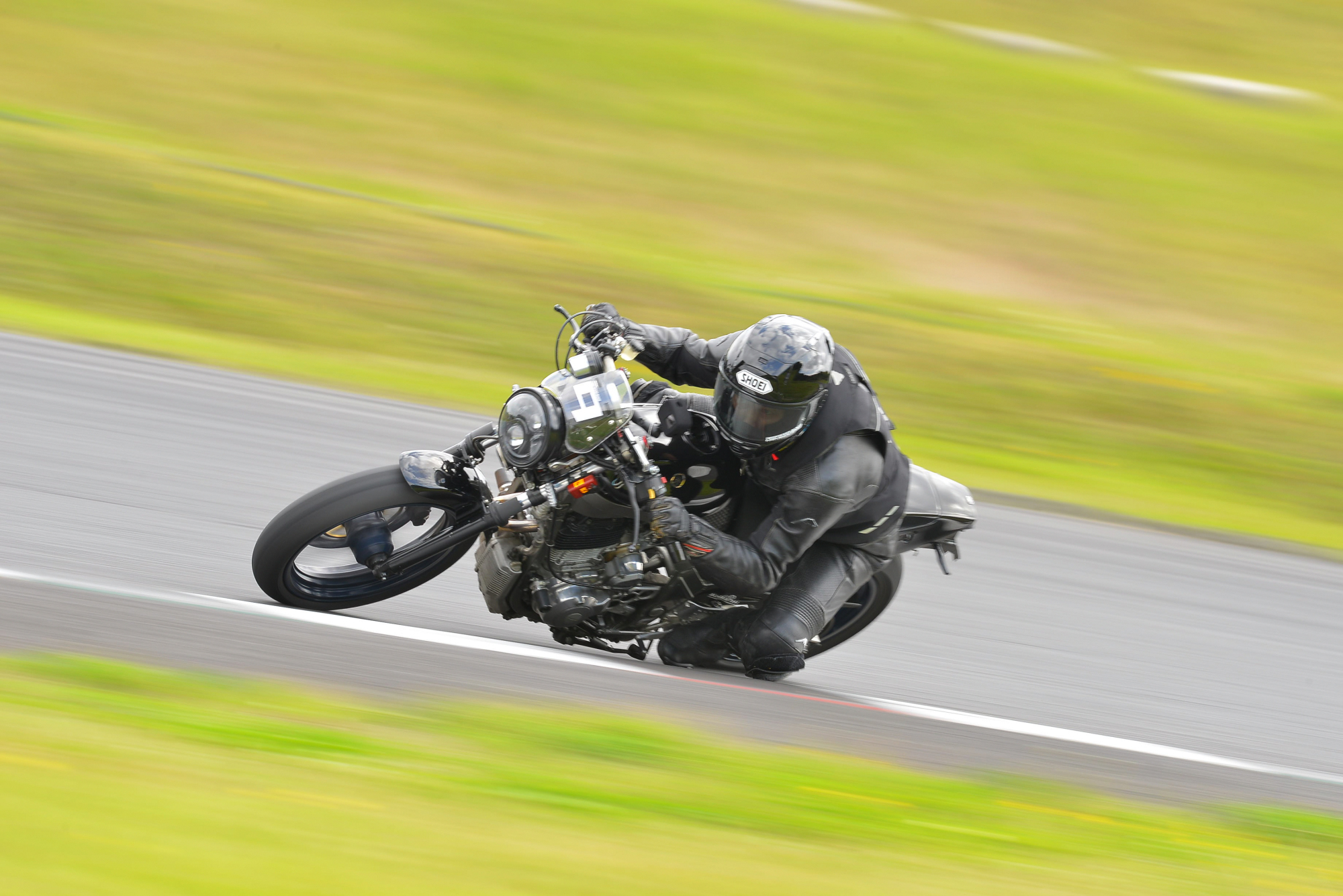 D8J_0291.JPG