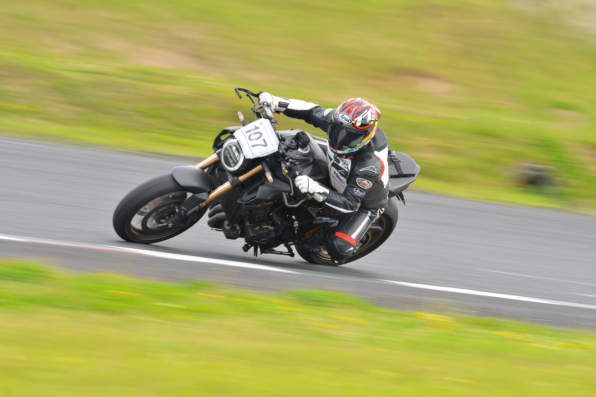 D8J_0349.JPG