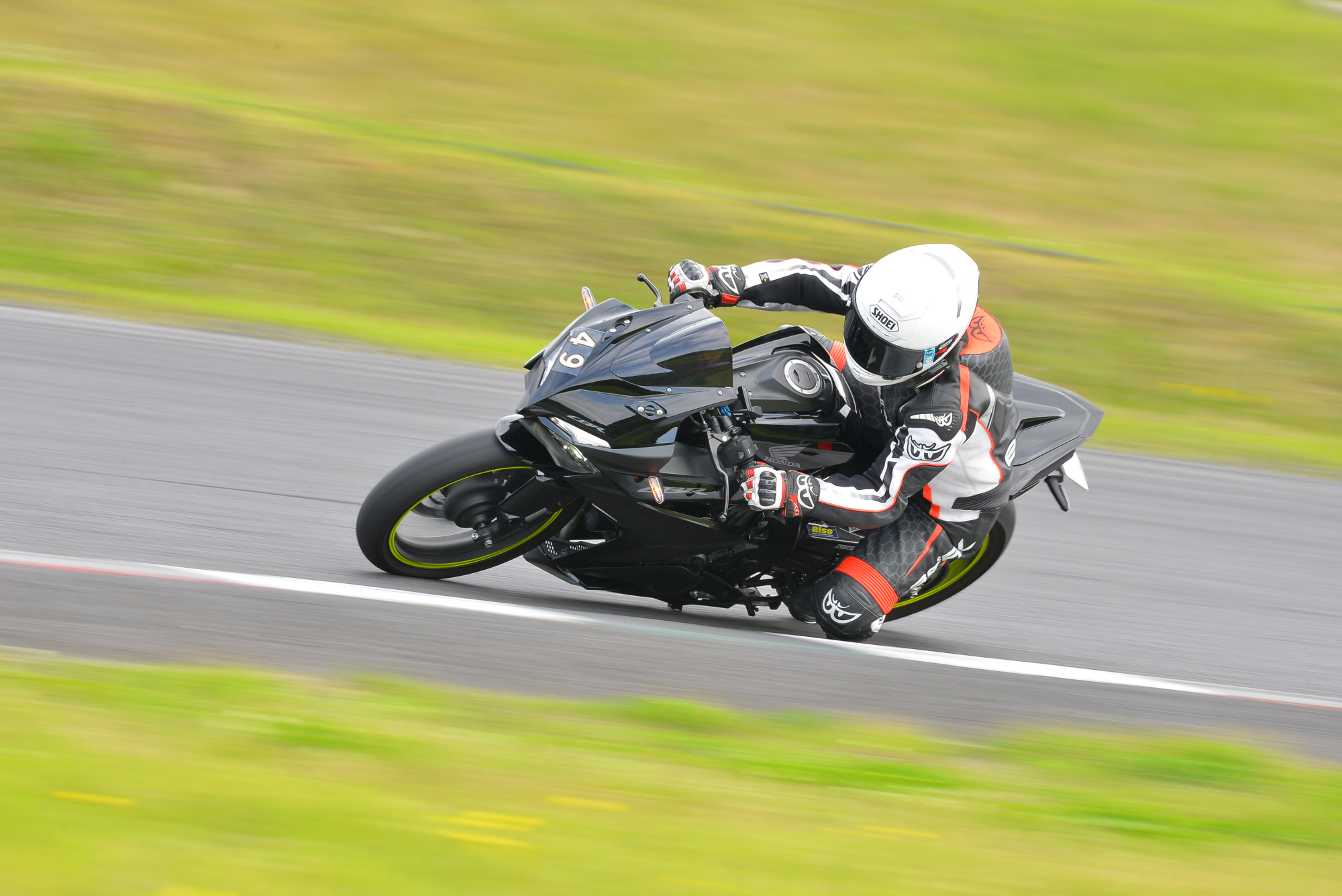 D8J_0350.JPG