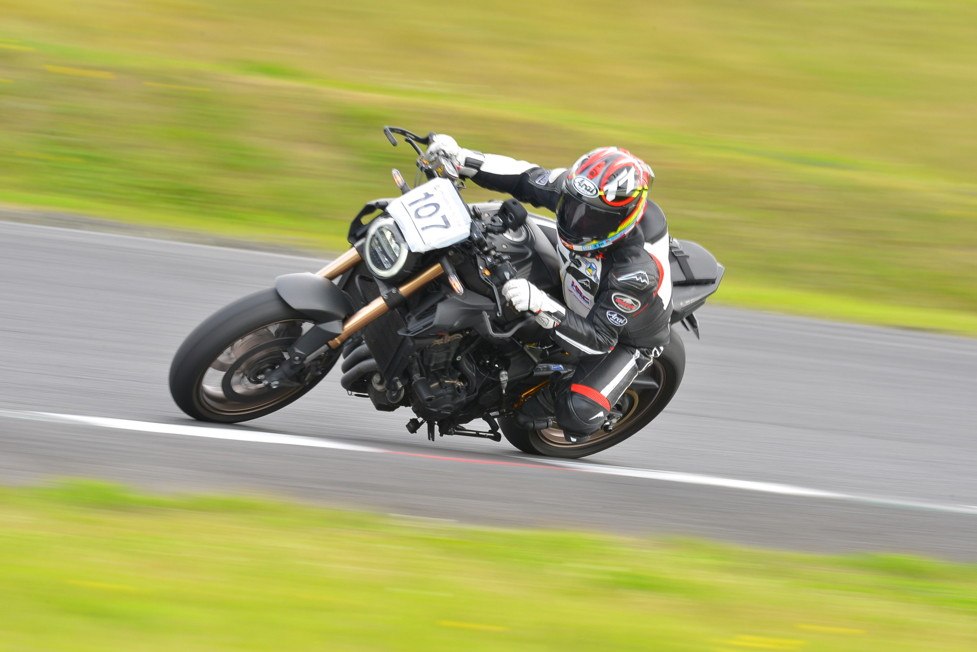 D8J_0355.JPG