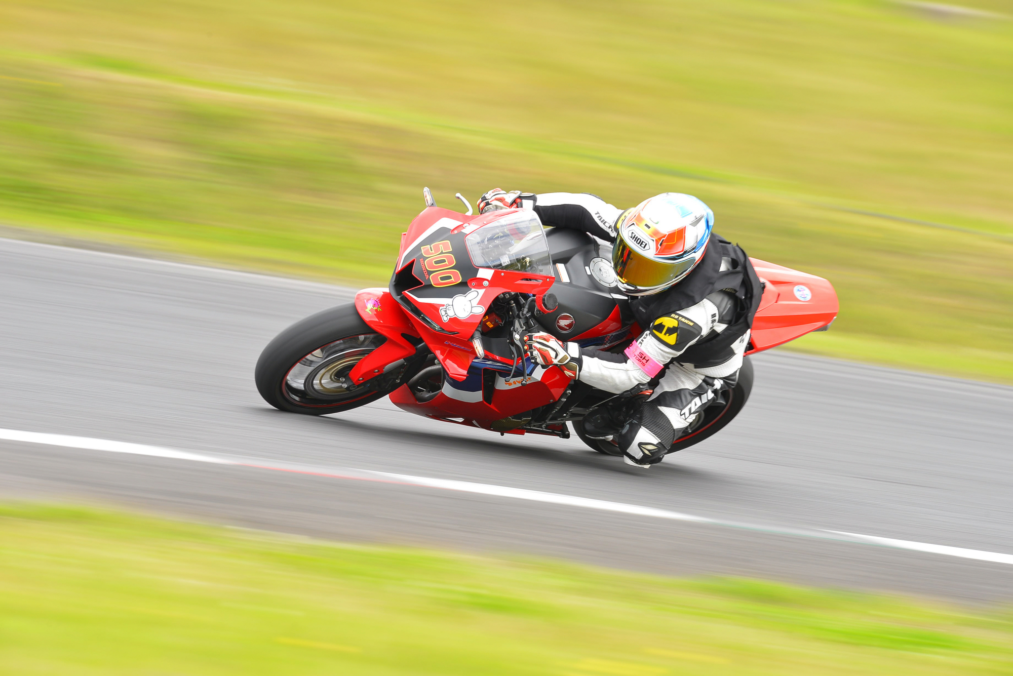 D8J_0368.JPG