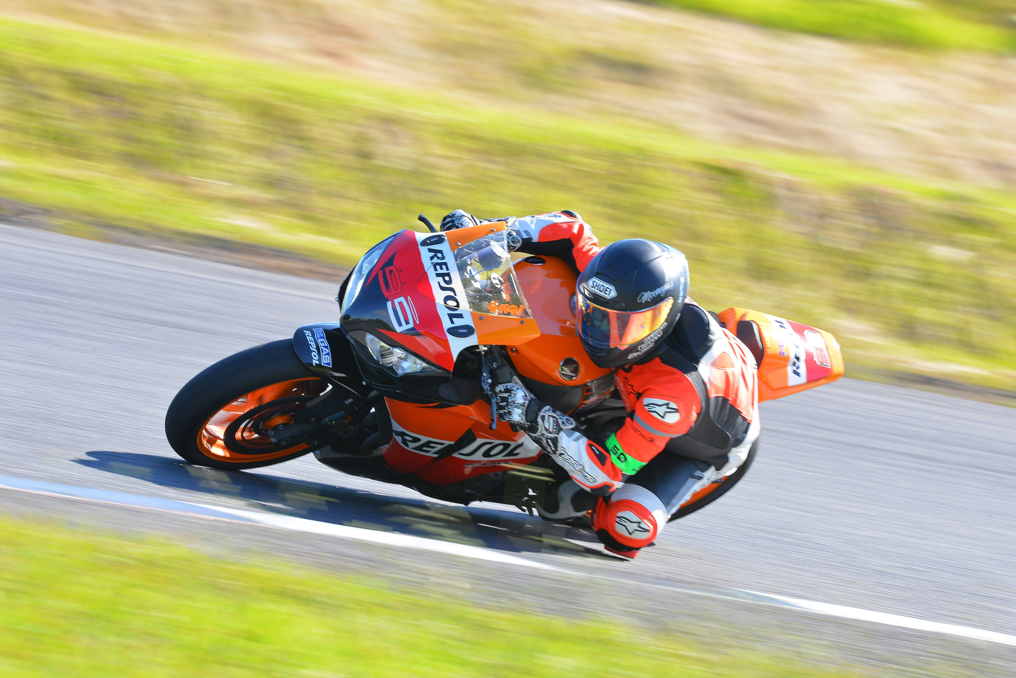 D8J_0008.JPG