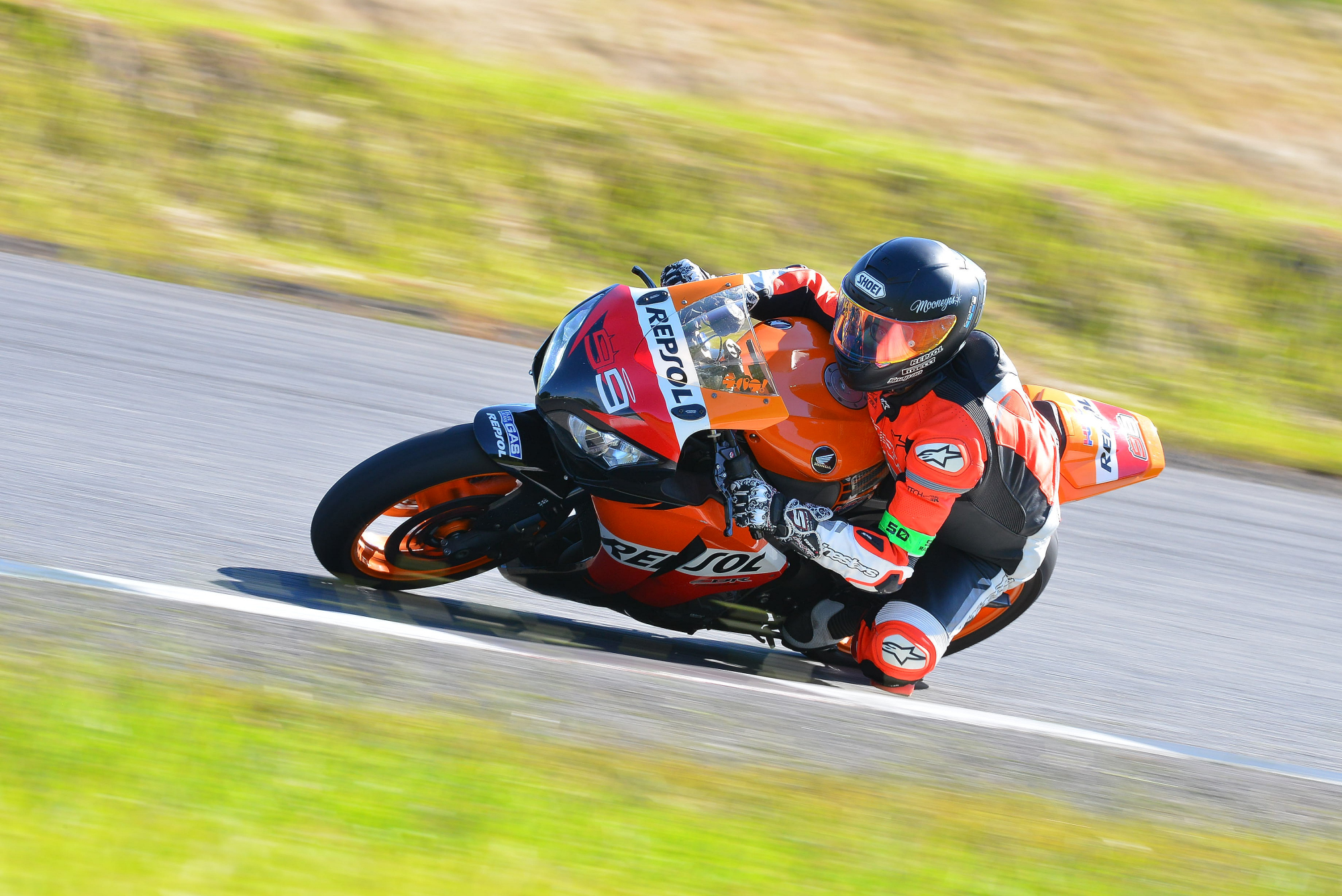 D8J_0015.JPG
