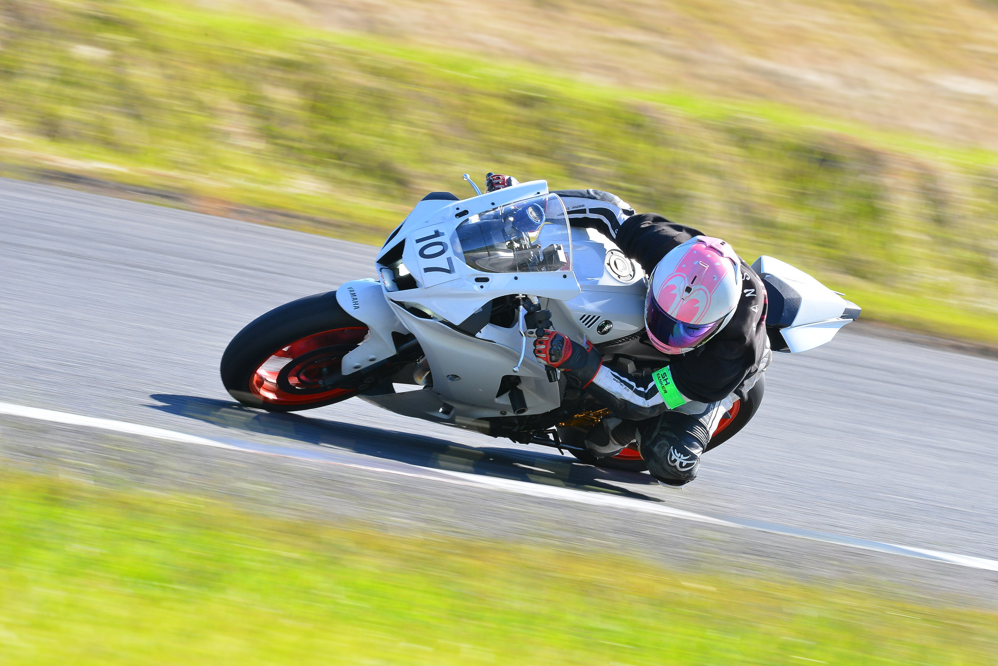 D8J_0045.JPG