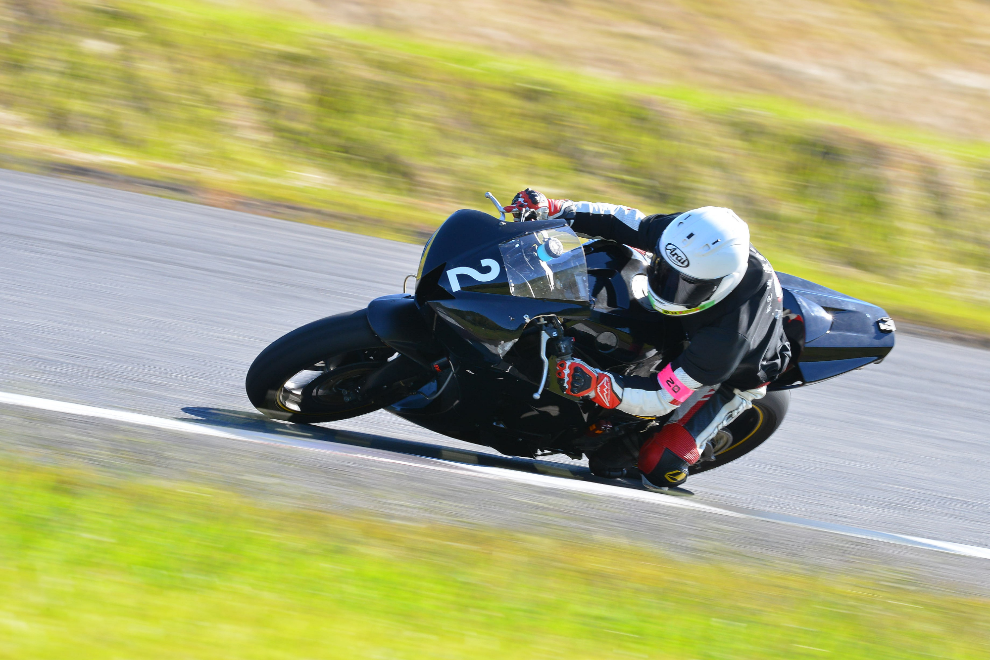 D8J_0048.JPG
