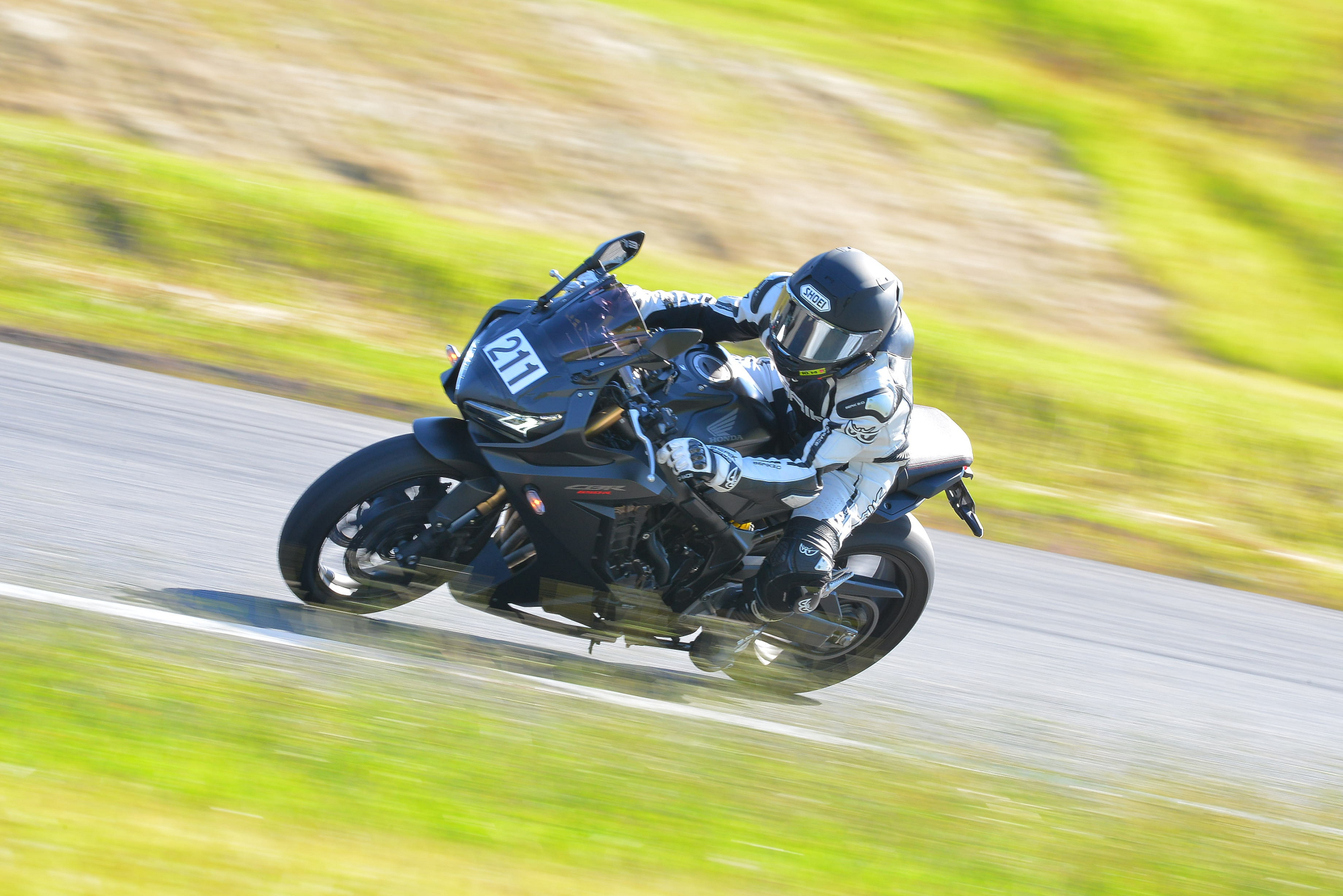 D8J_0145.JPG