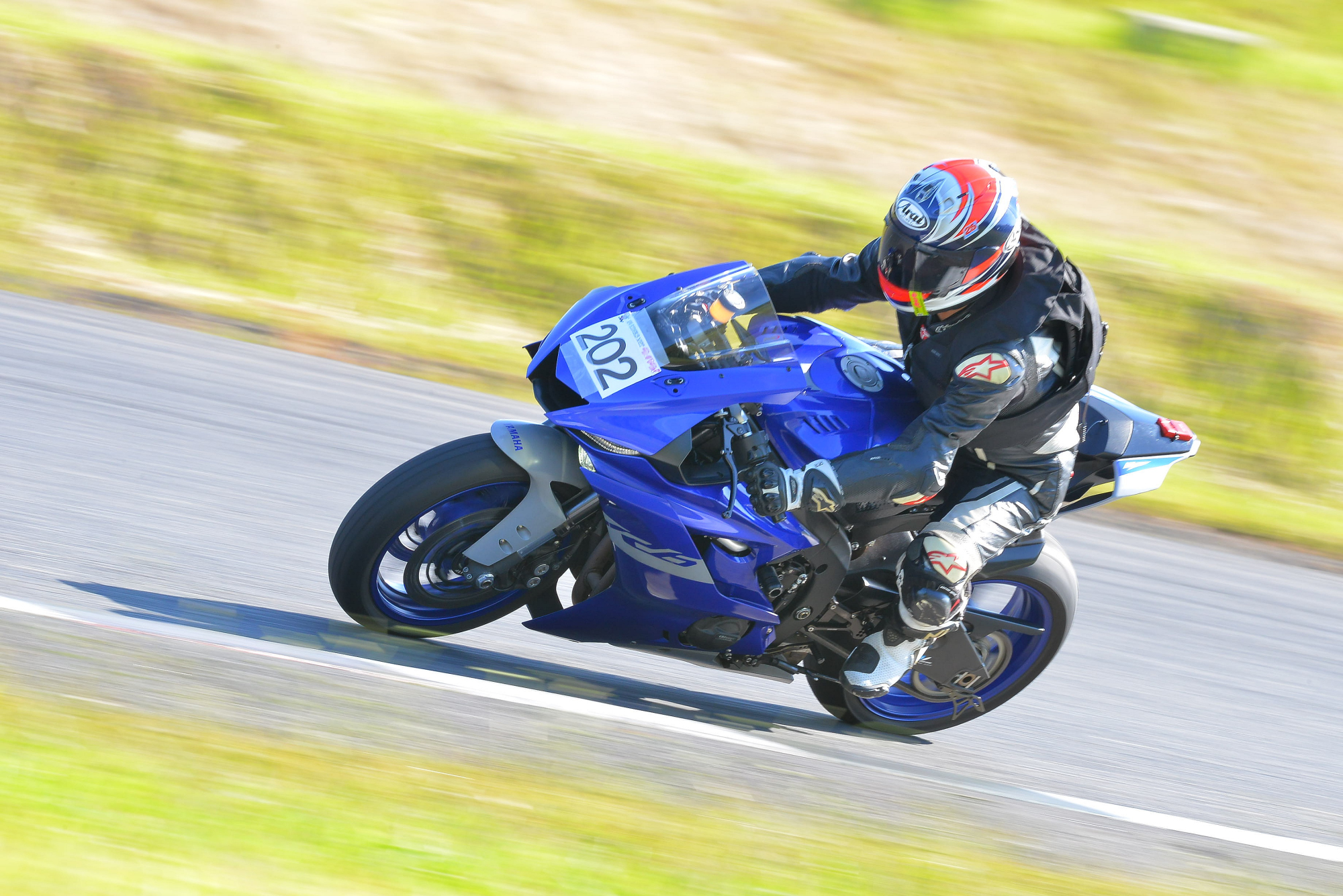 D8J_0205.JPG