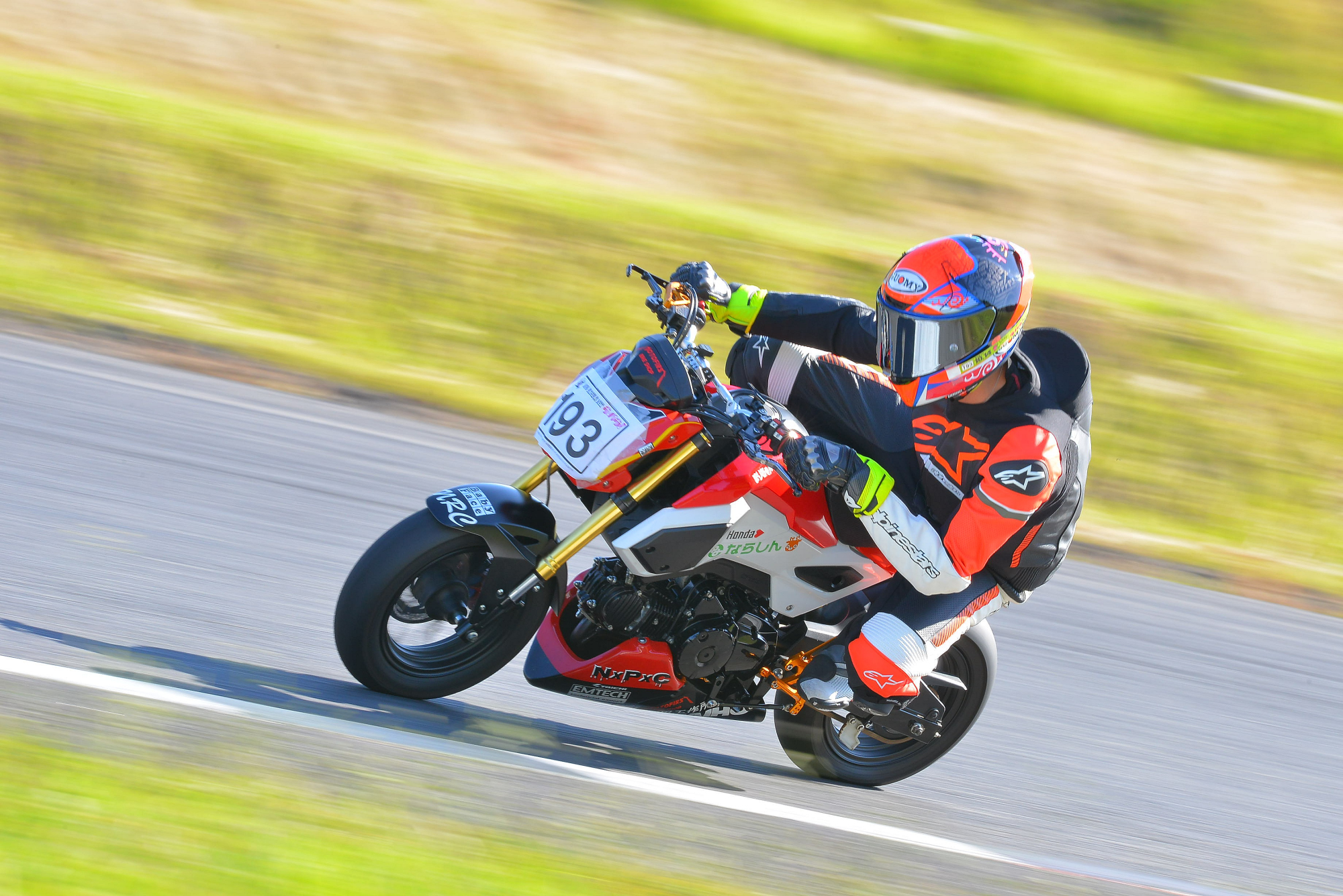D8J_0211.JPG