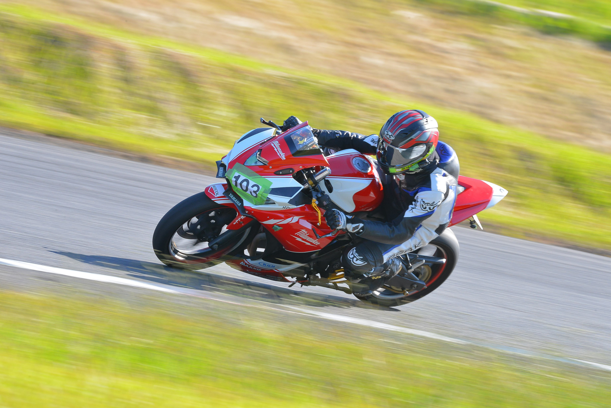 D8J_0242.JPG