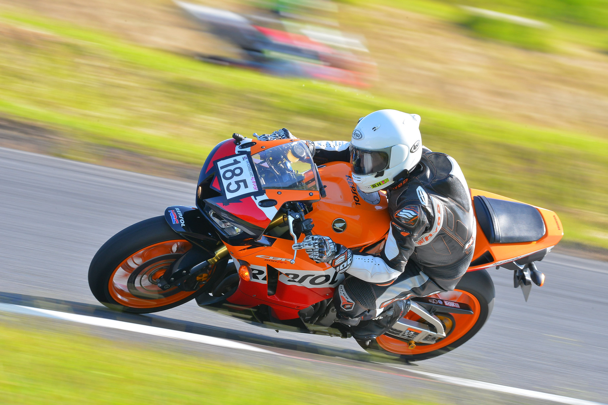 D8J_0395.JPG