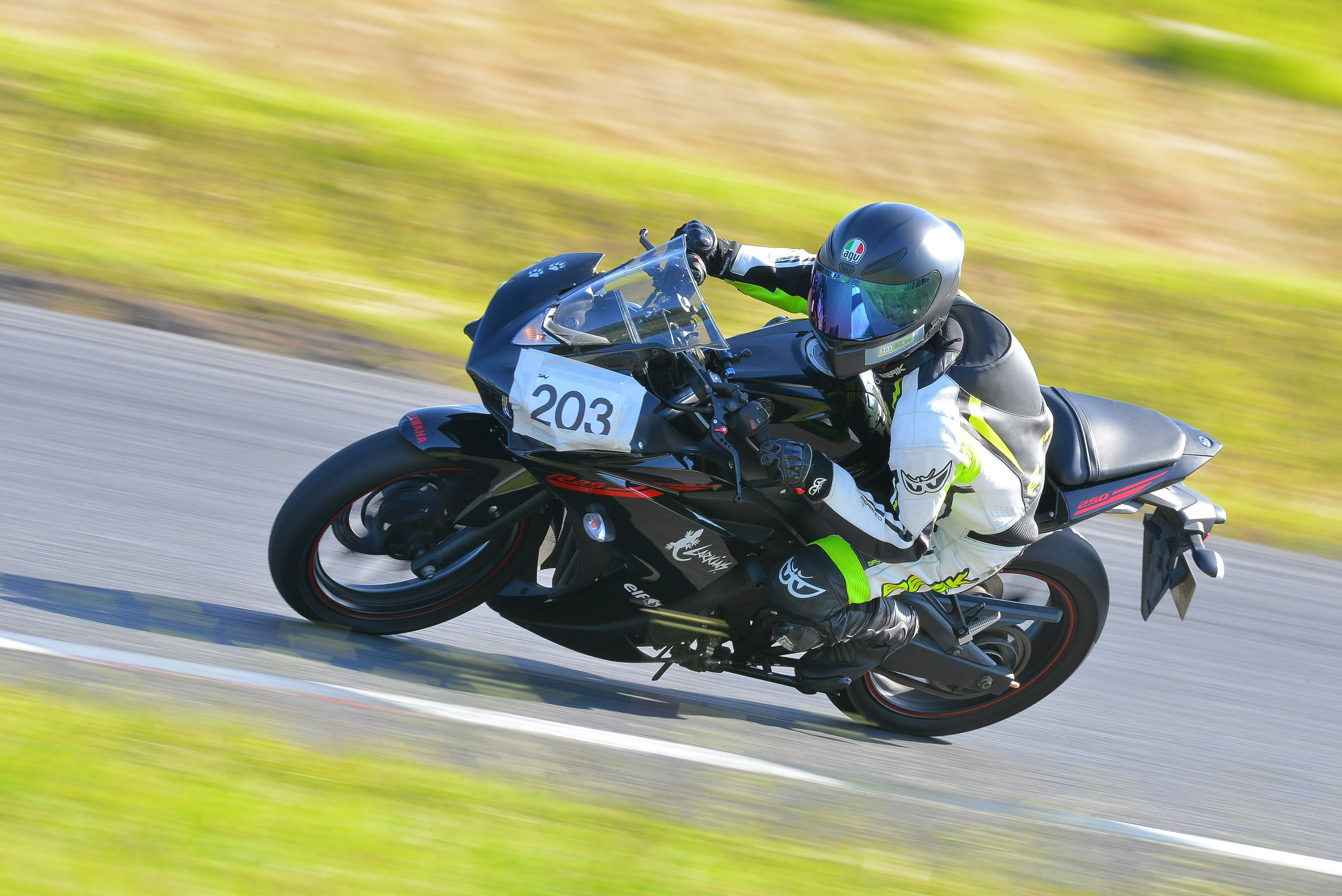 D8J_0398.JPG