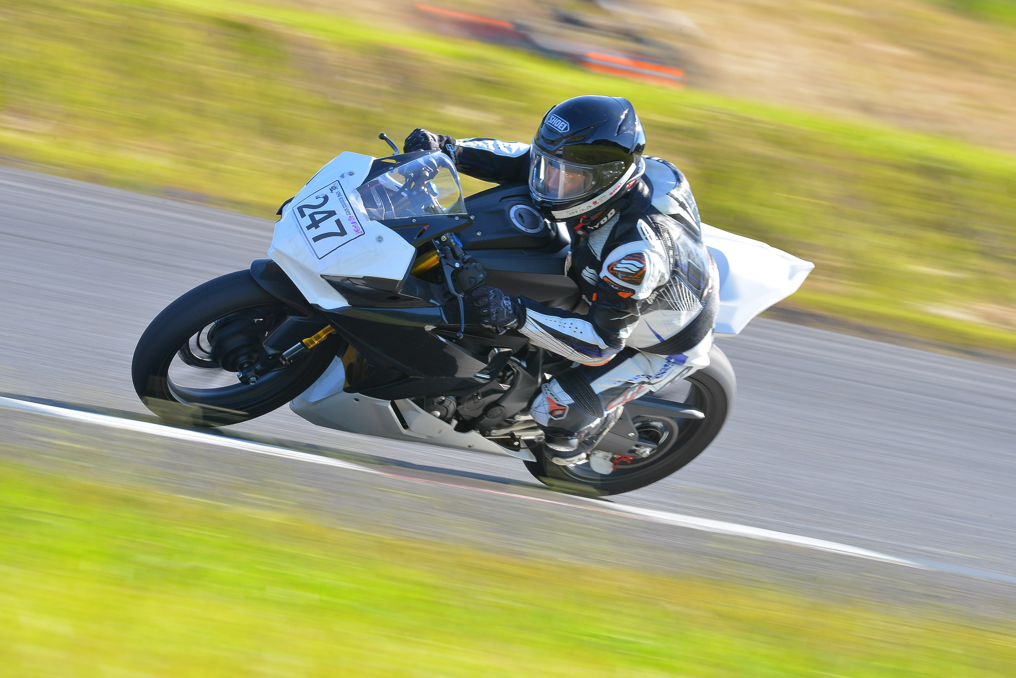 D8J_0419.JPG