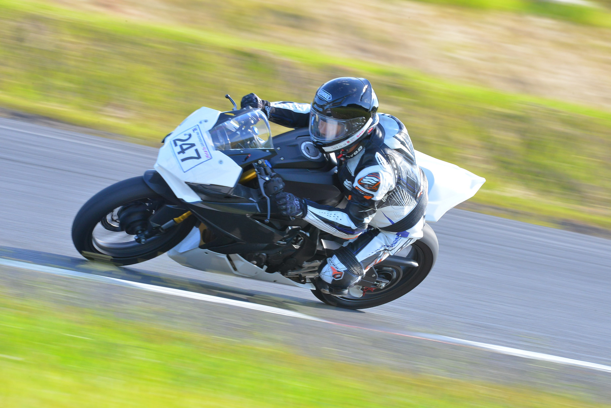 D8J_0524.JPG