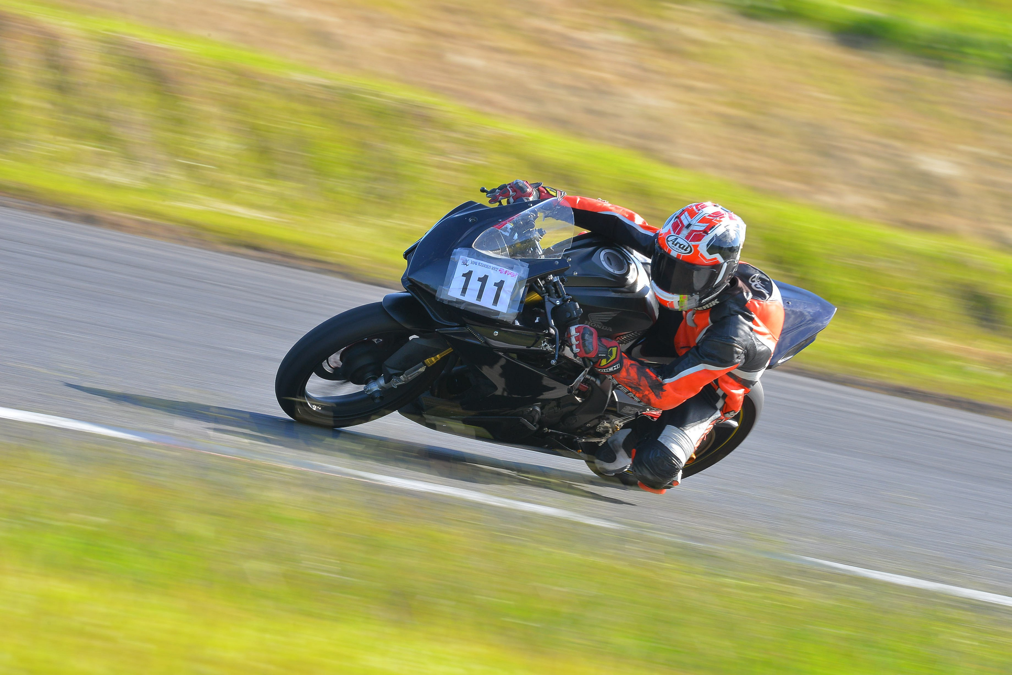 D8J_0571.JPG