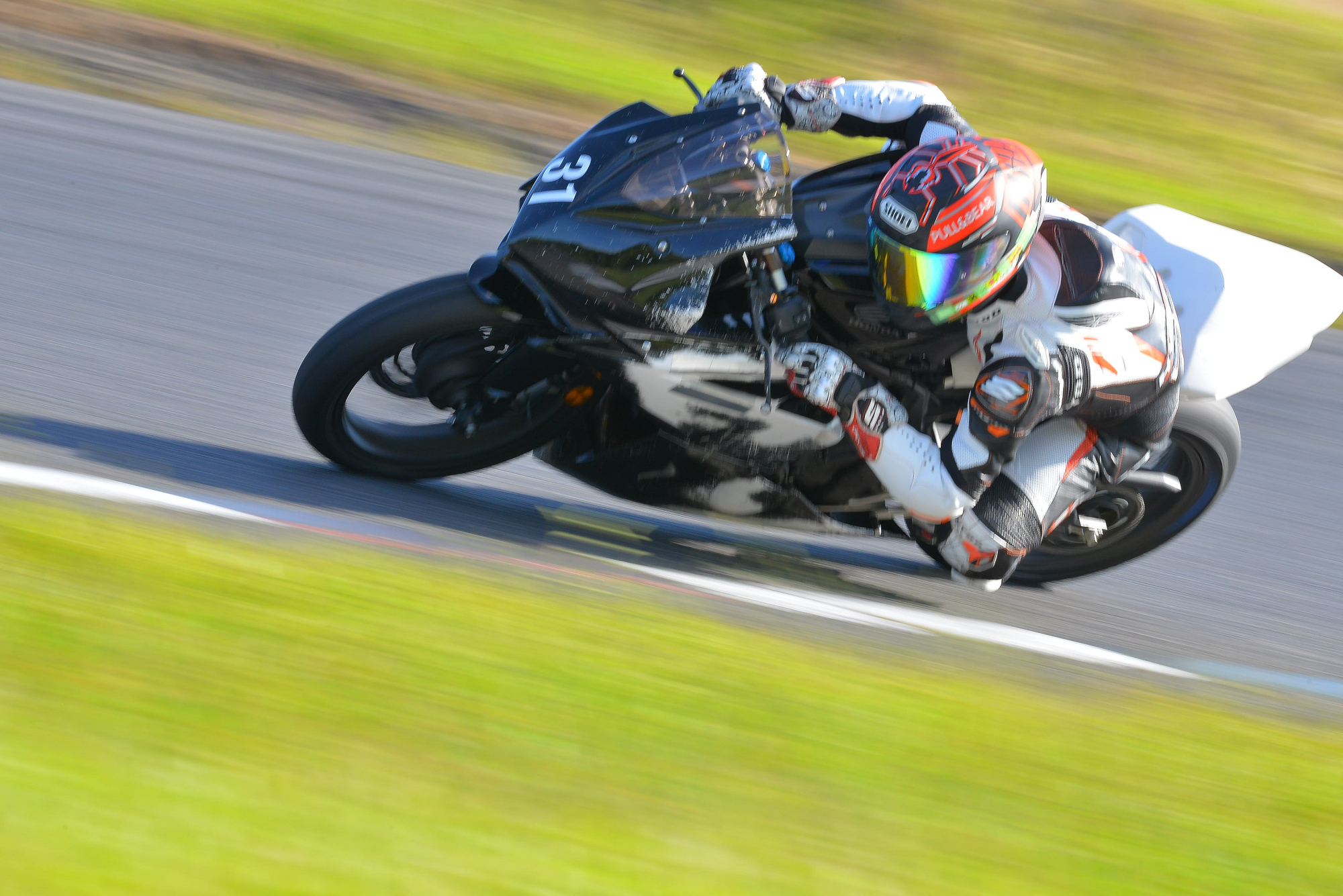 D8J_0619.JPG